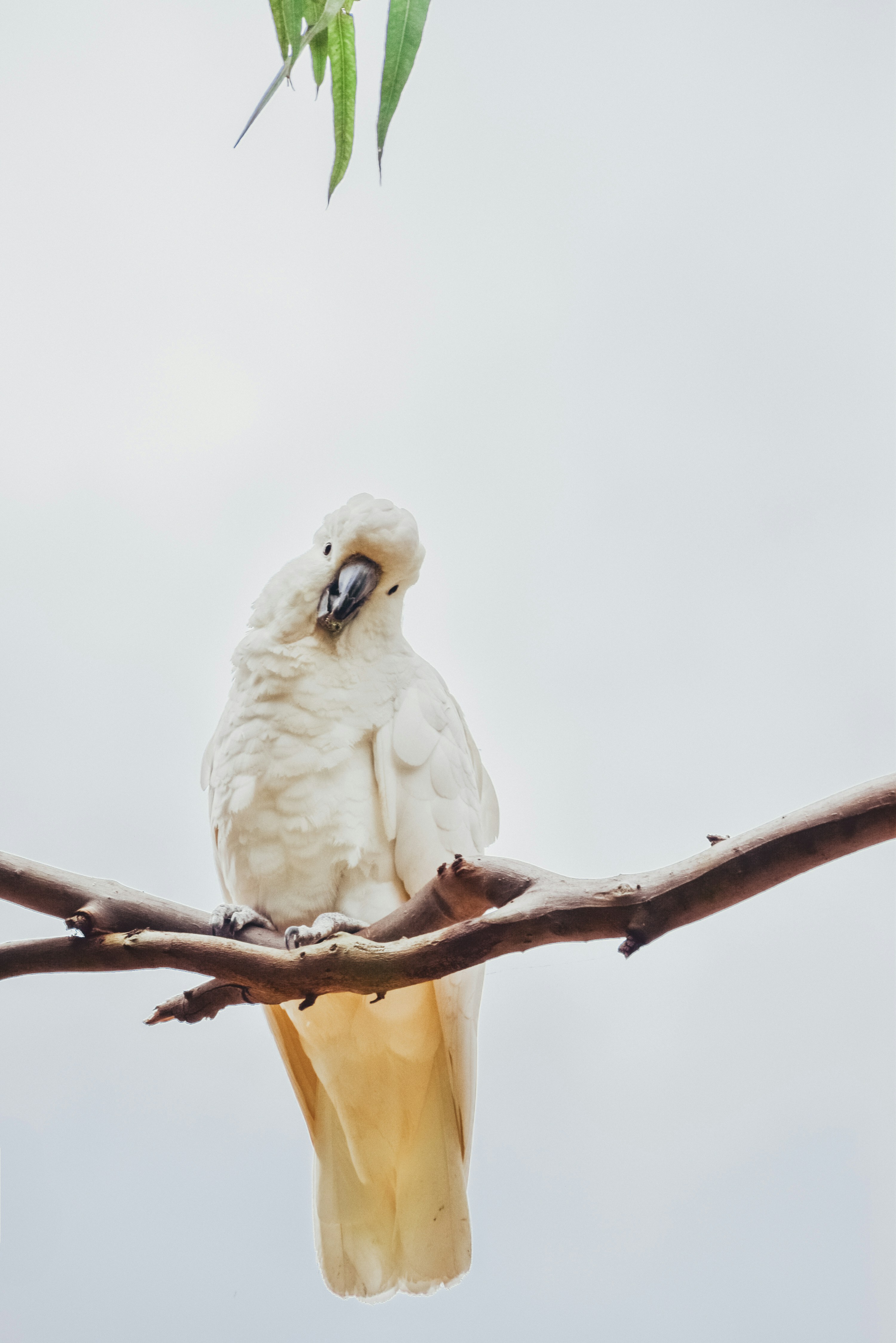 Photo by amandaswanepoel