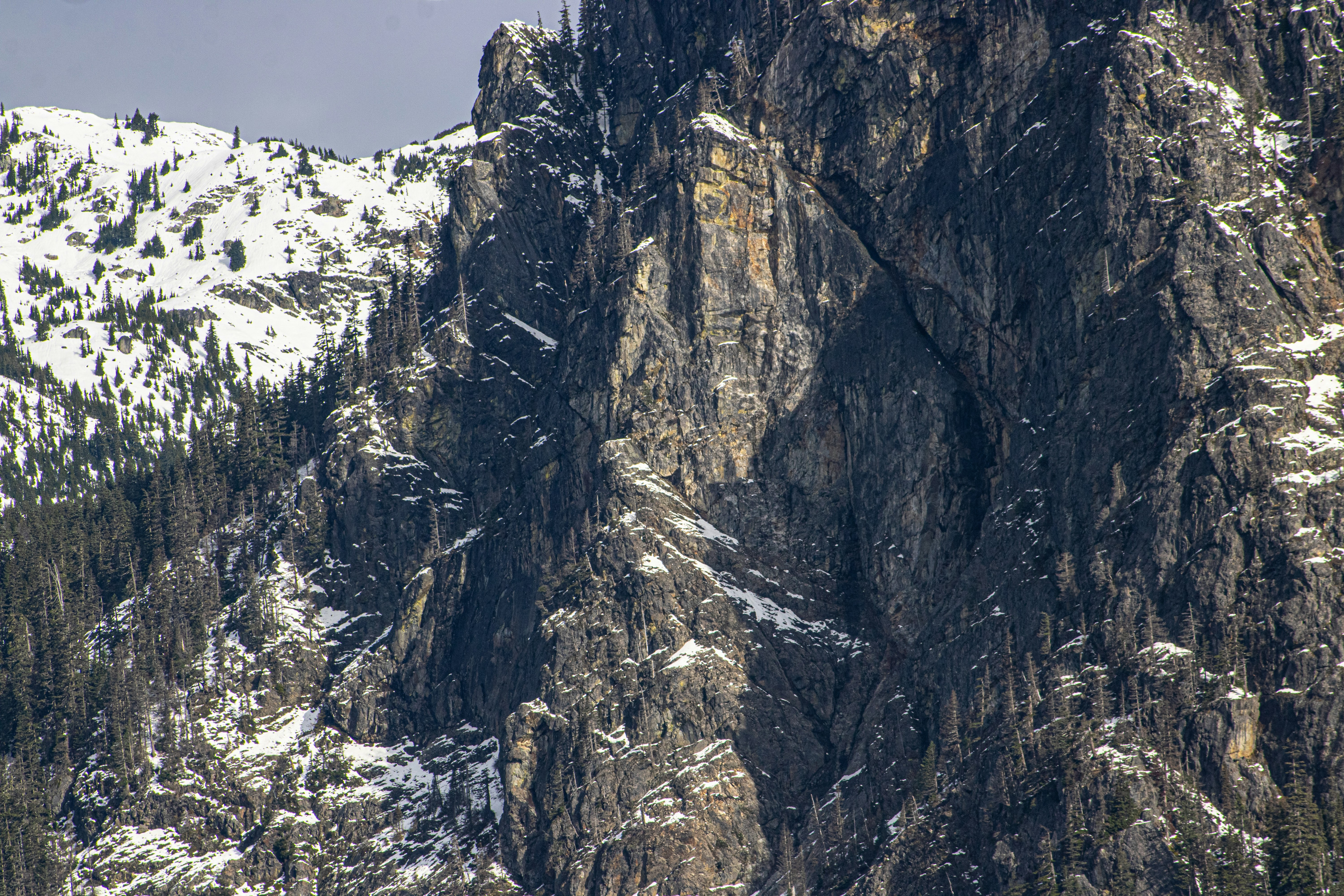 Photo by prphotography262