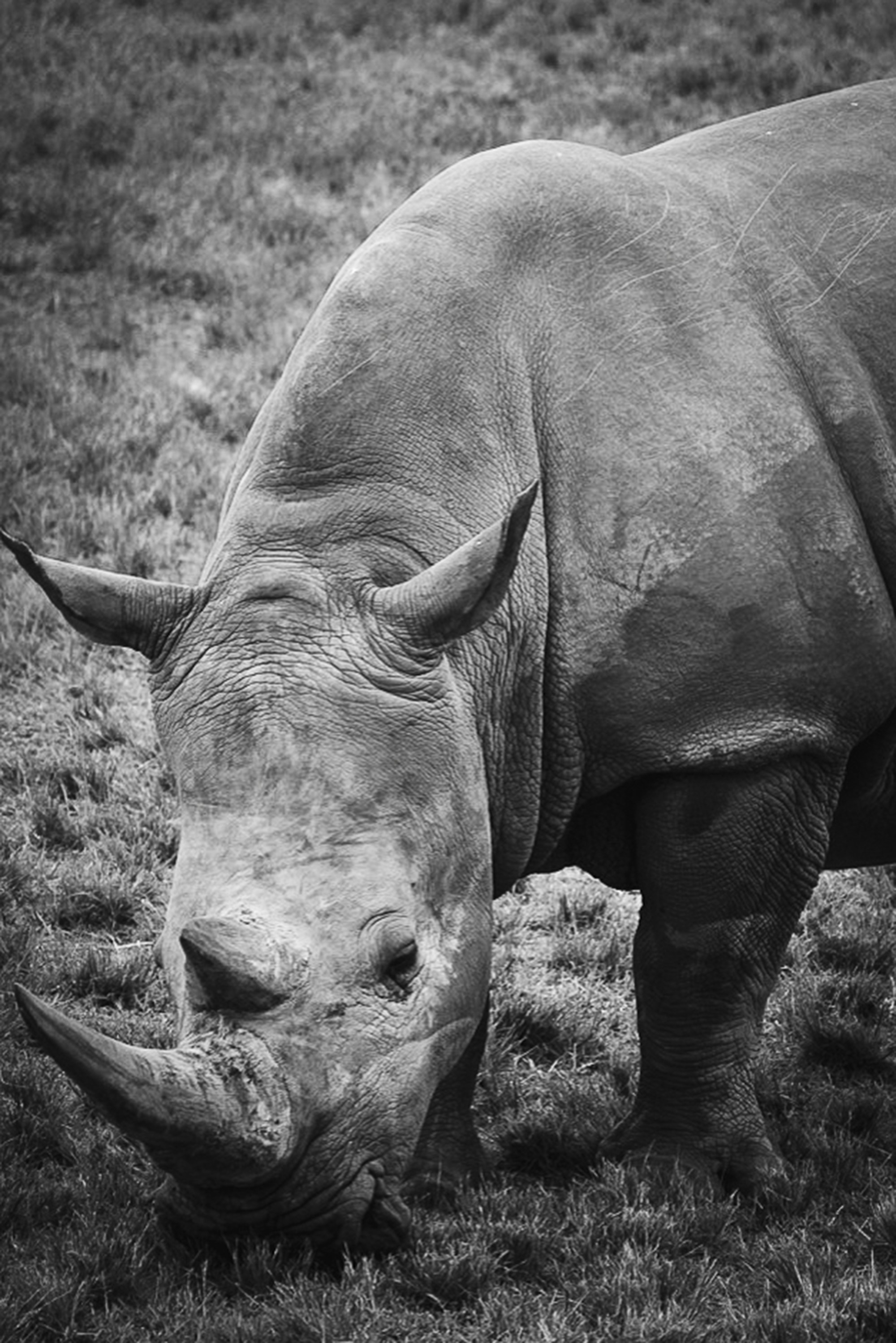 Photo by amandaswanepoel