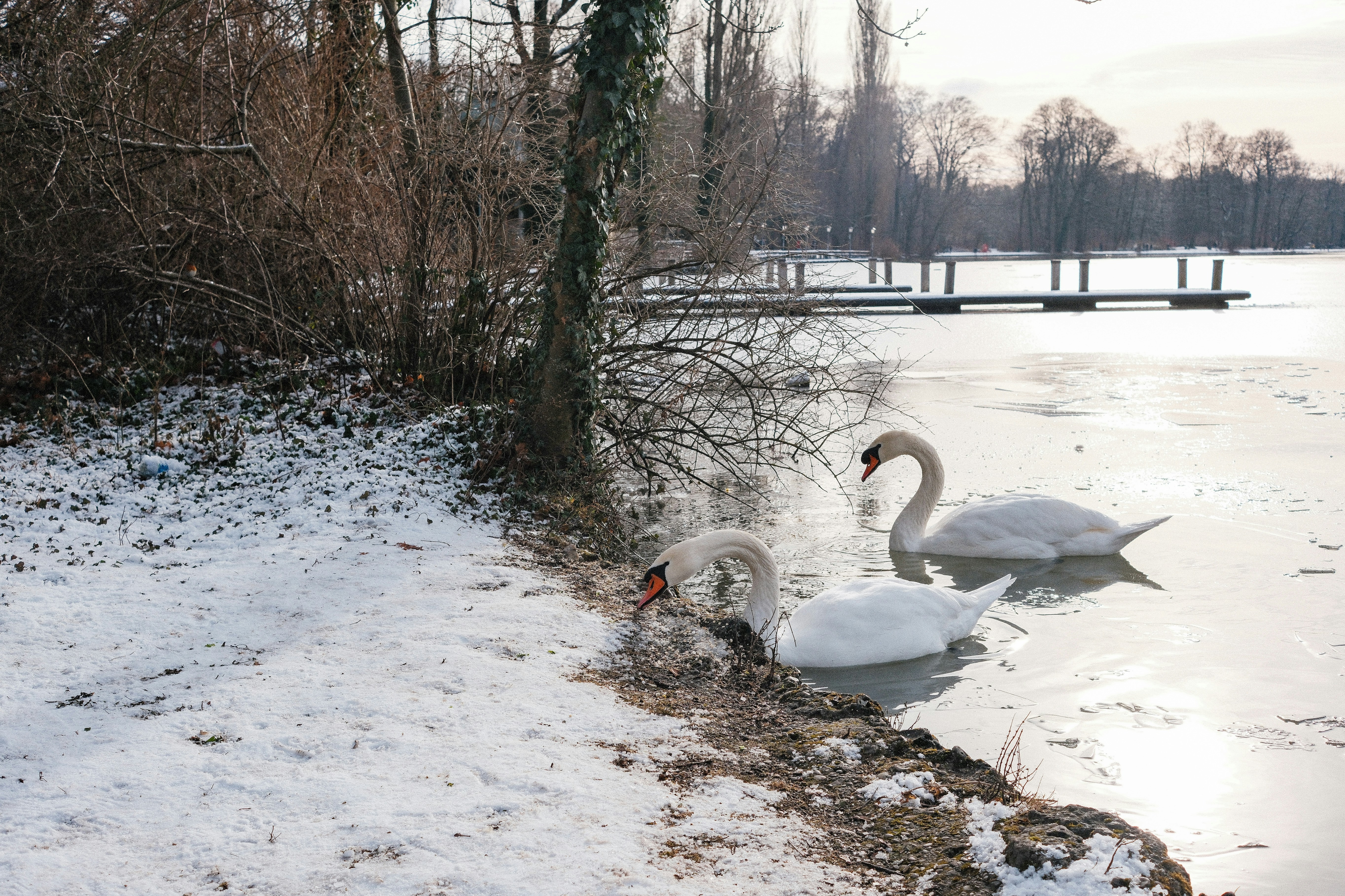 Photo by afebriyan