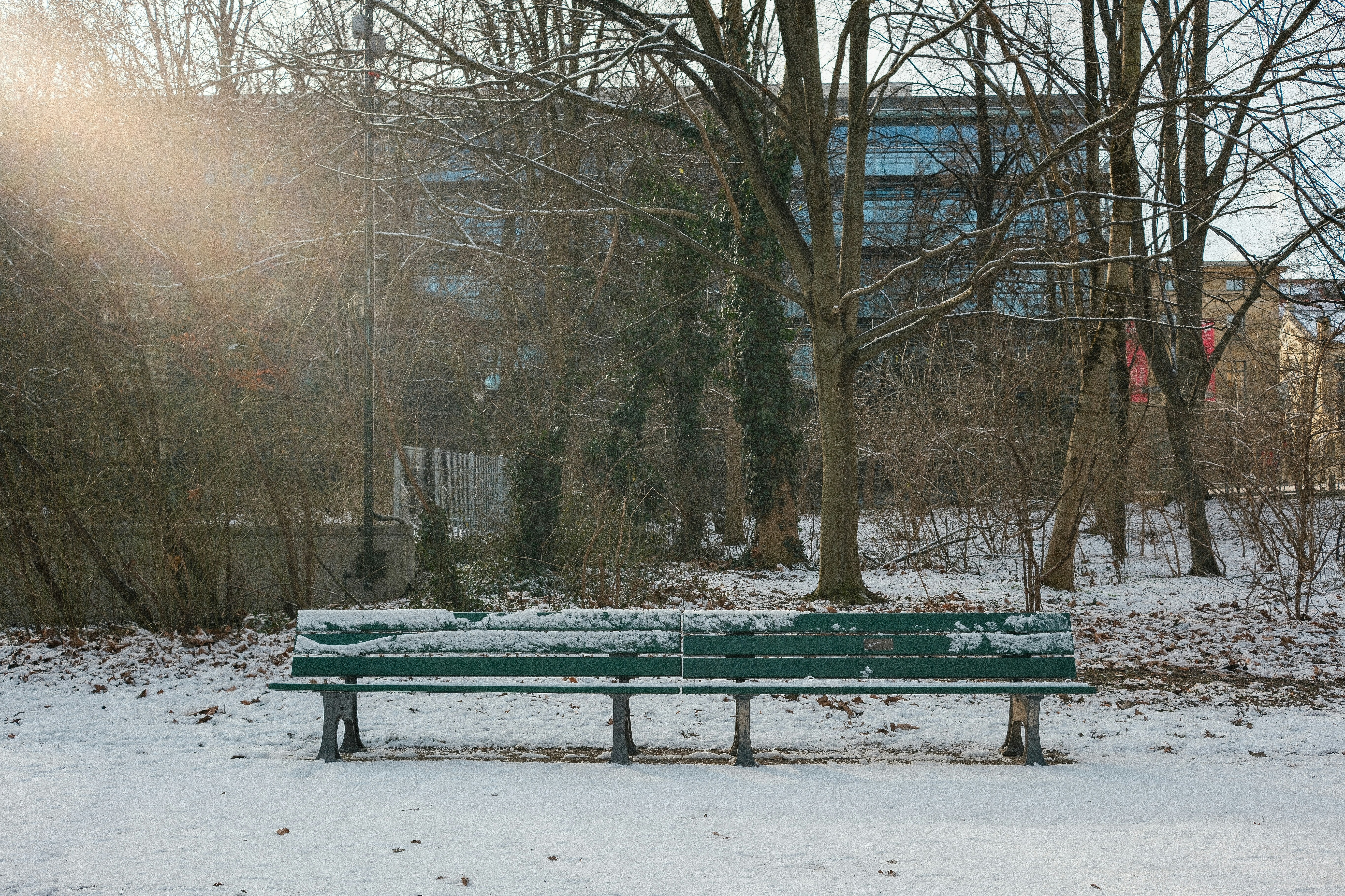 A green bench sitting in the middle of a snow covered park