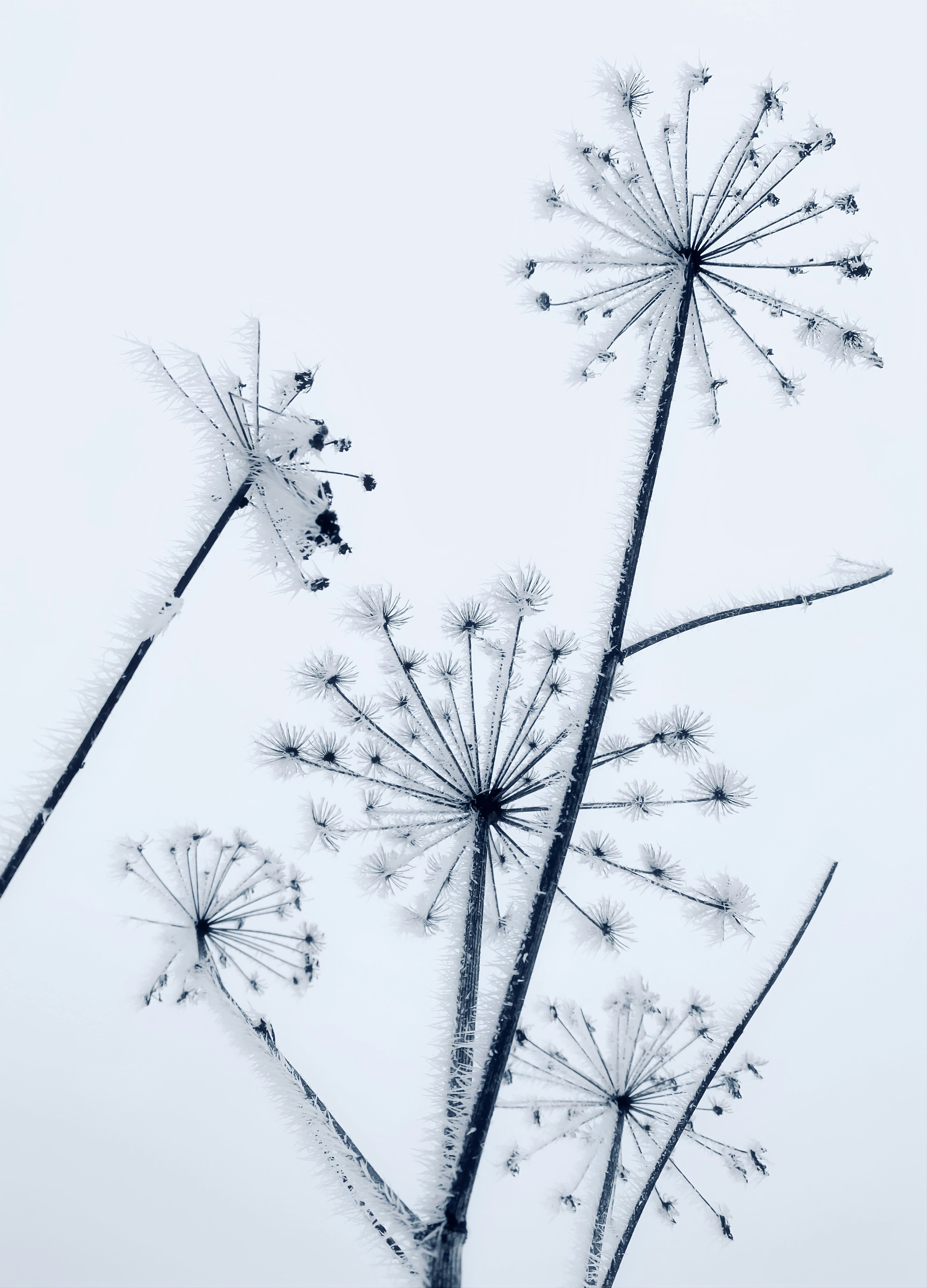 Photo by eugene_golovesov