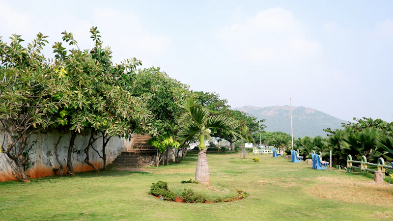 Best Pet-Friendly Hotels and Stays in Visakhapatnam for Travelers With Furry Companions