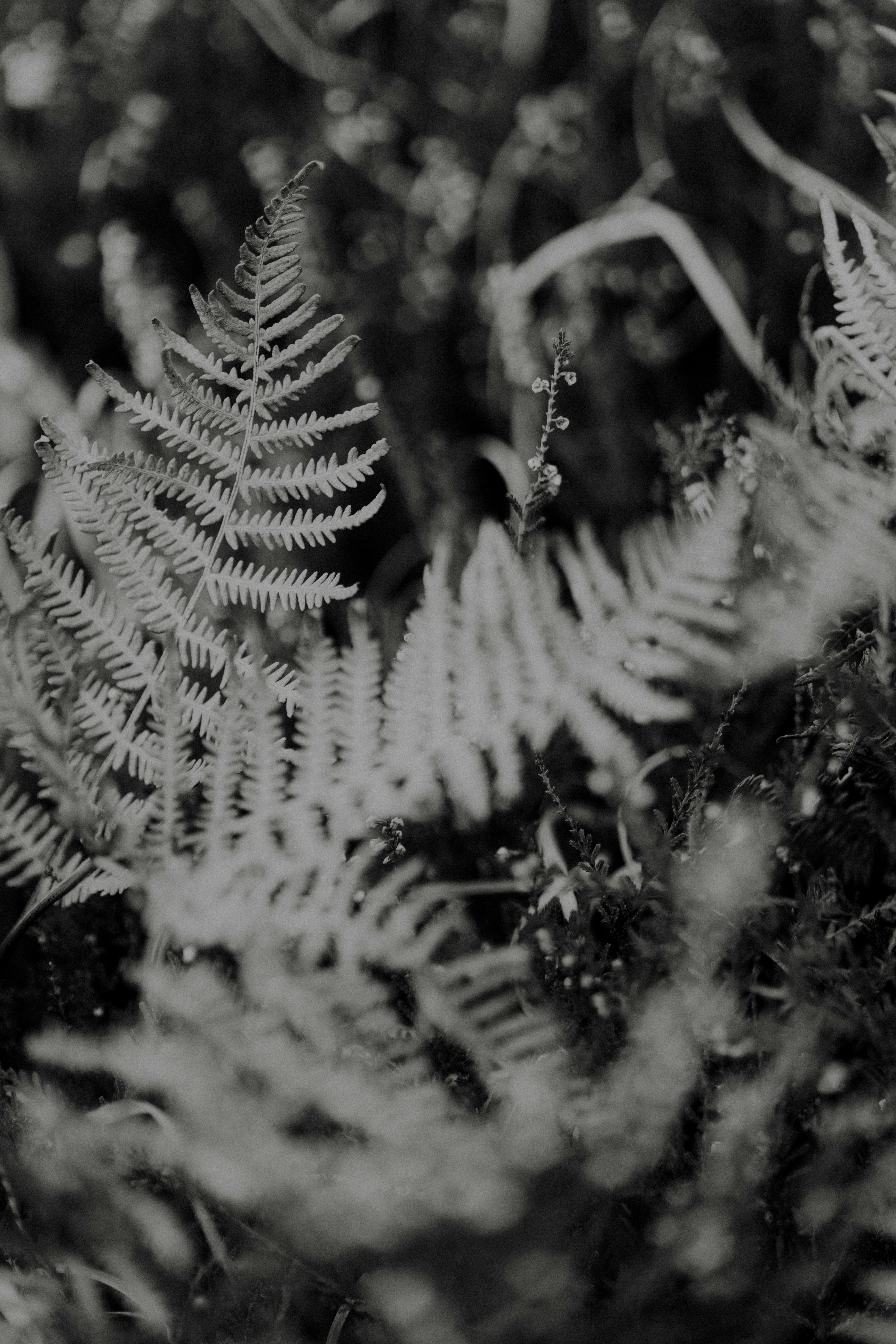 Photo by anniespratt