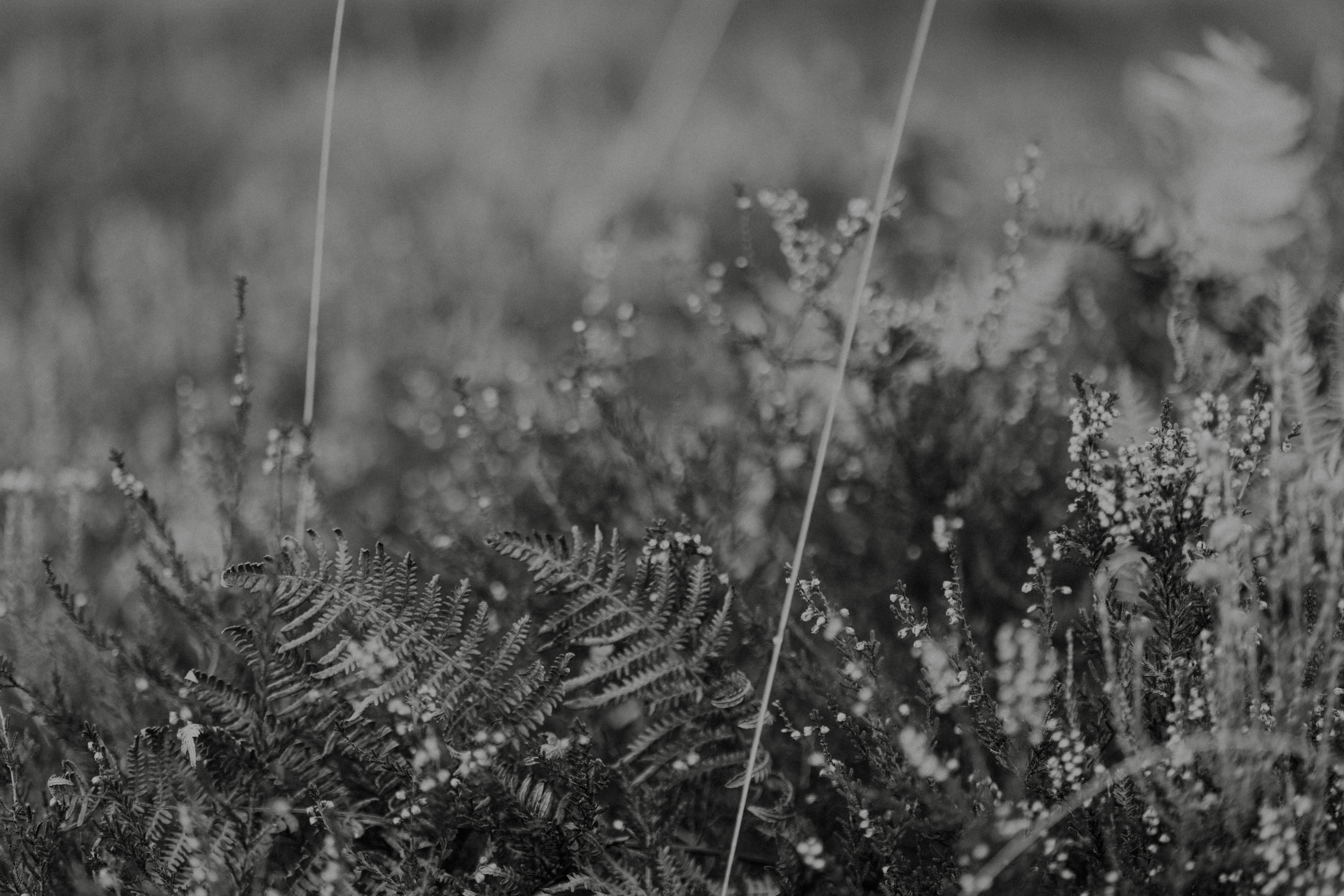 Photo by anniespratt