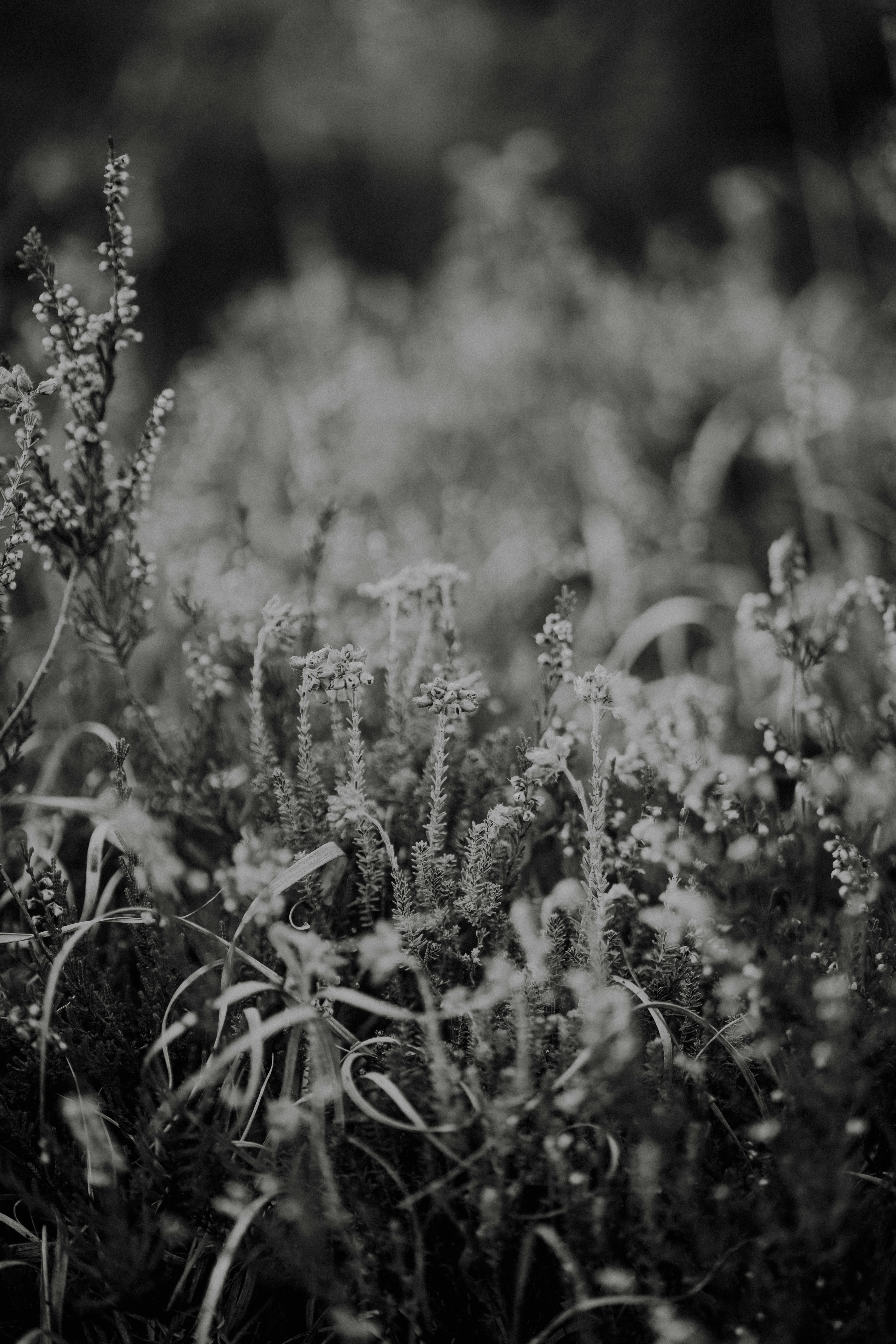 Photo by anniespratt