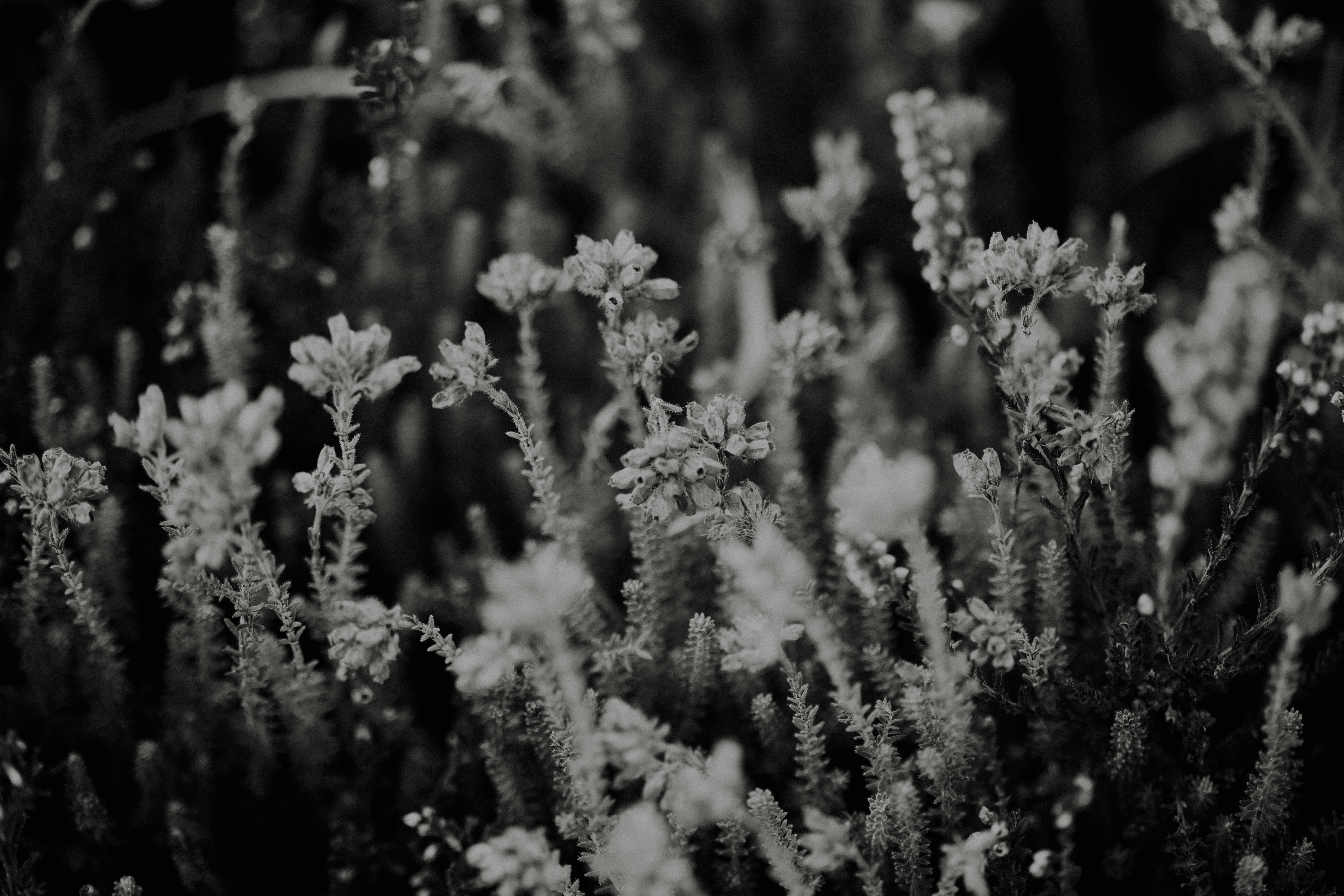 Photo by anniespratt