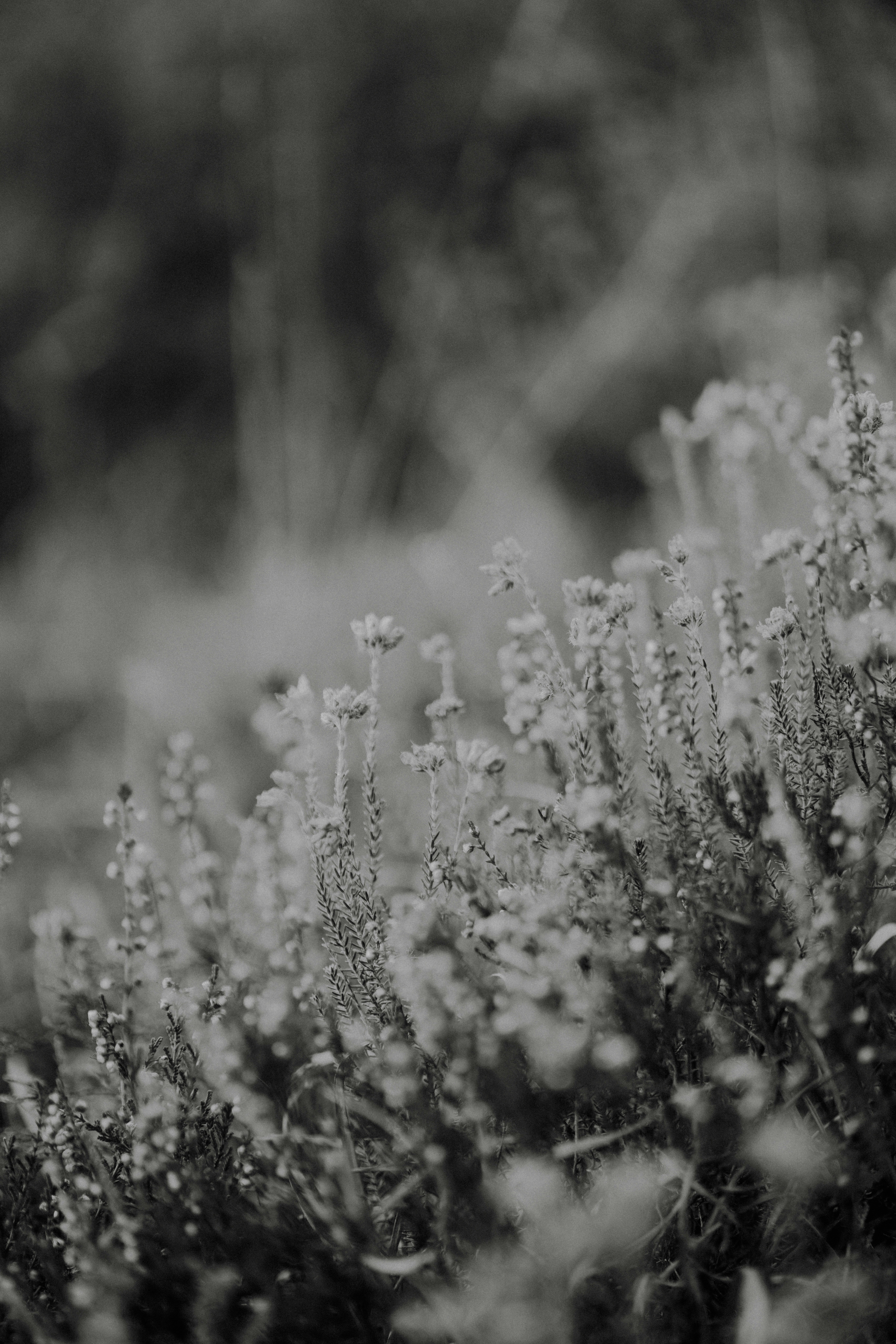 Photo by anniespratt