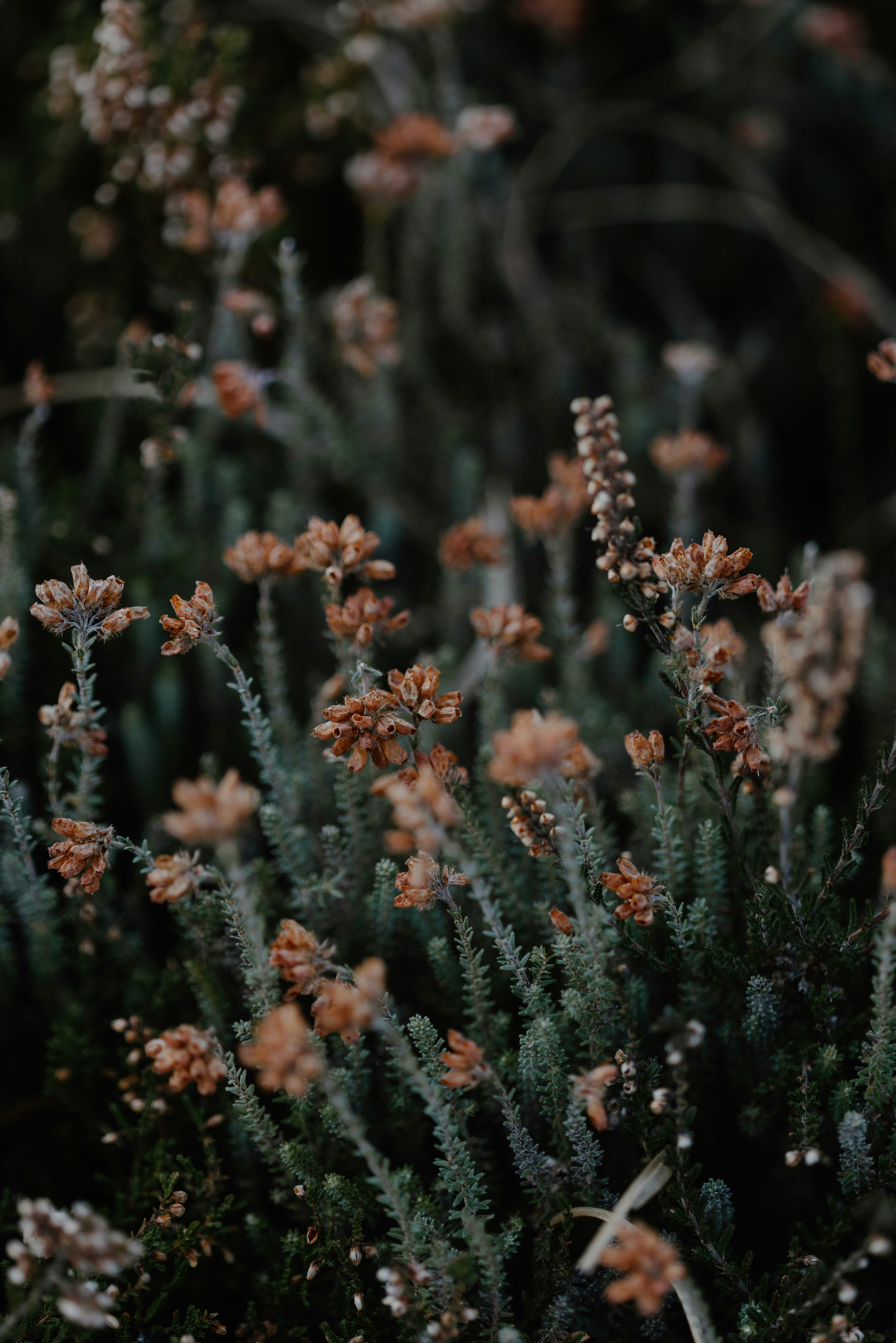 Photo by anniespratt