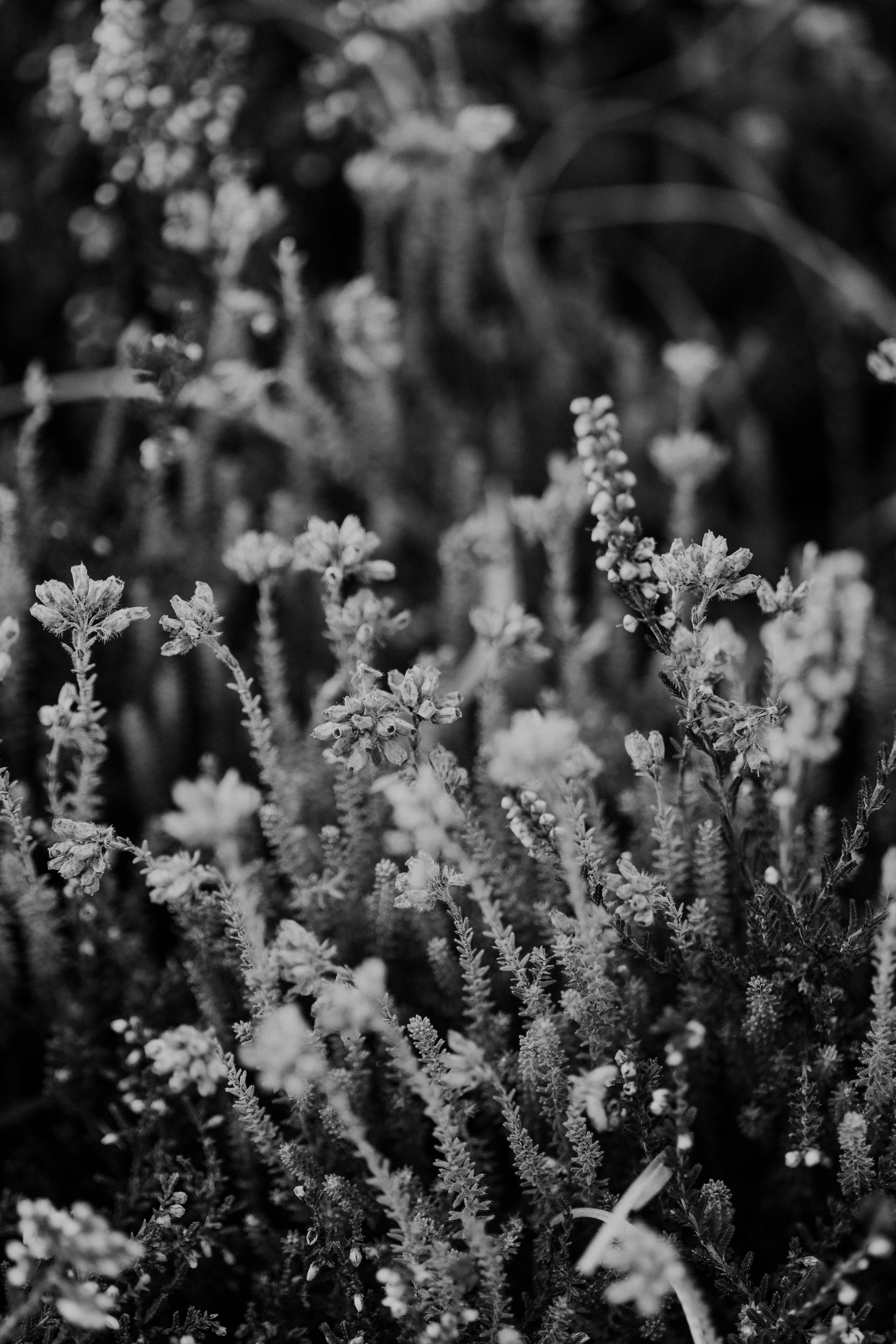 Photo by anniespratt