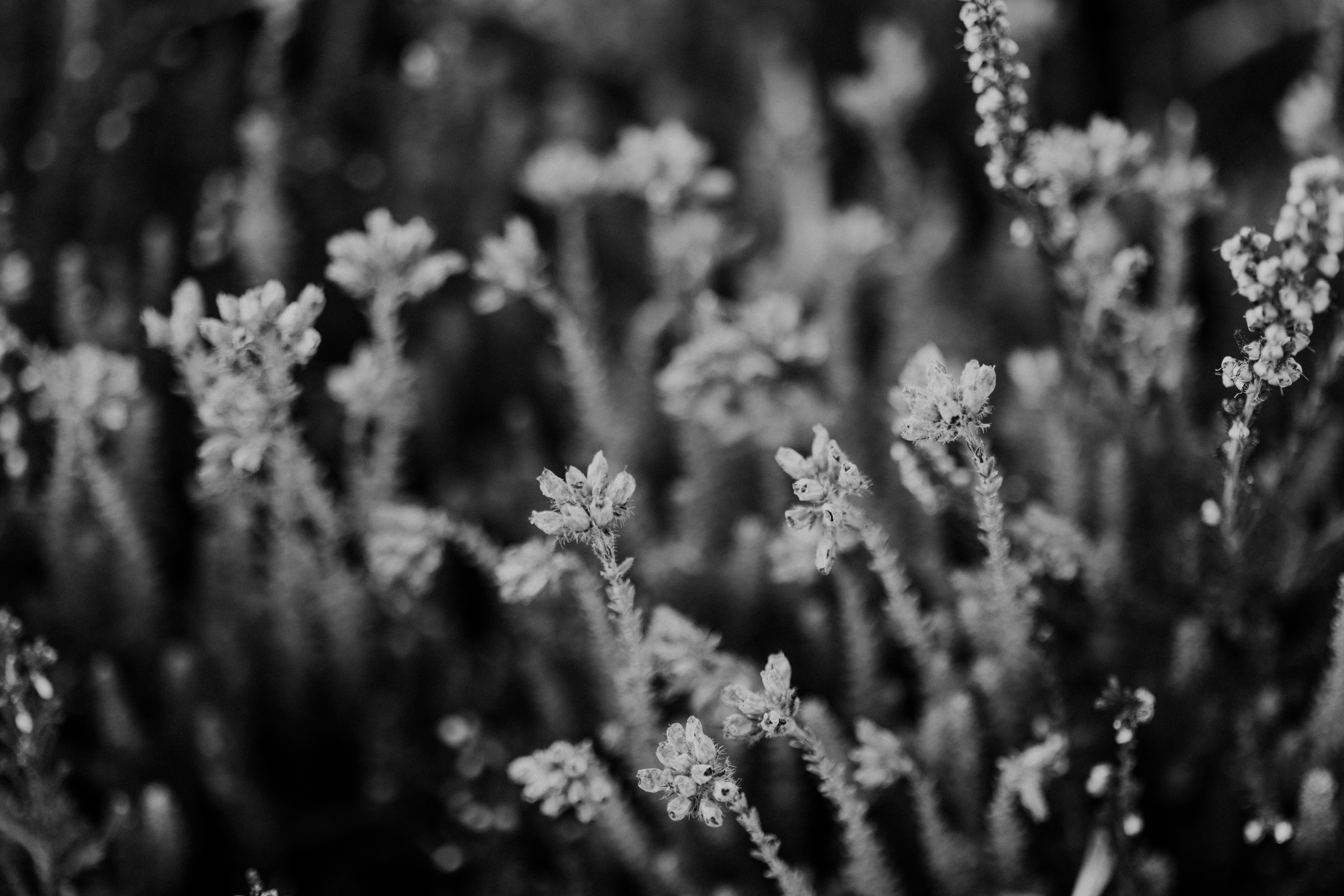 Photo by anniespratt