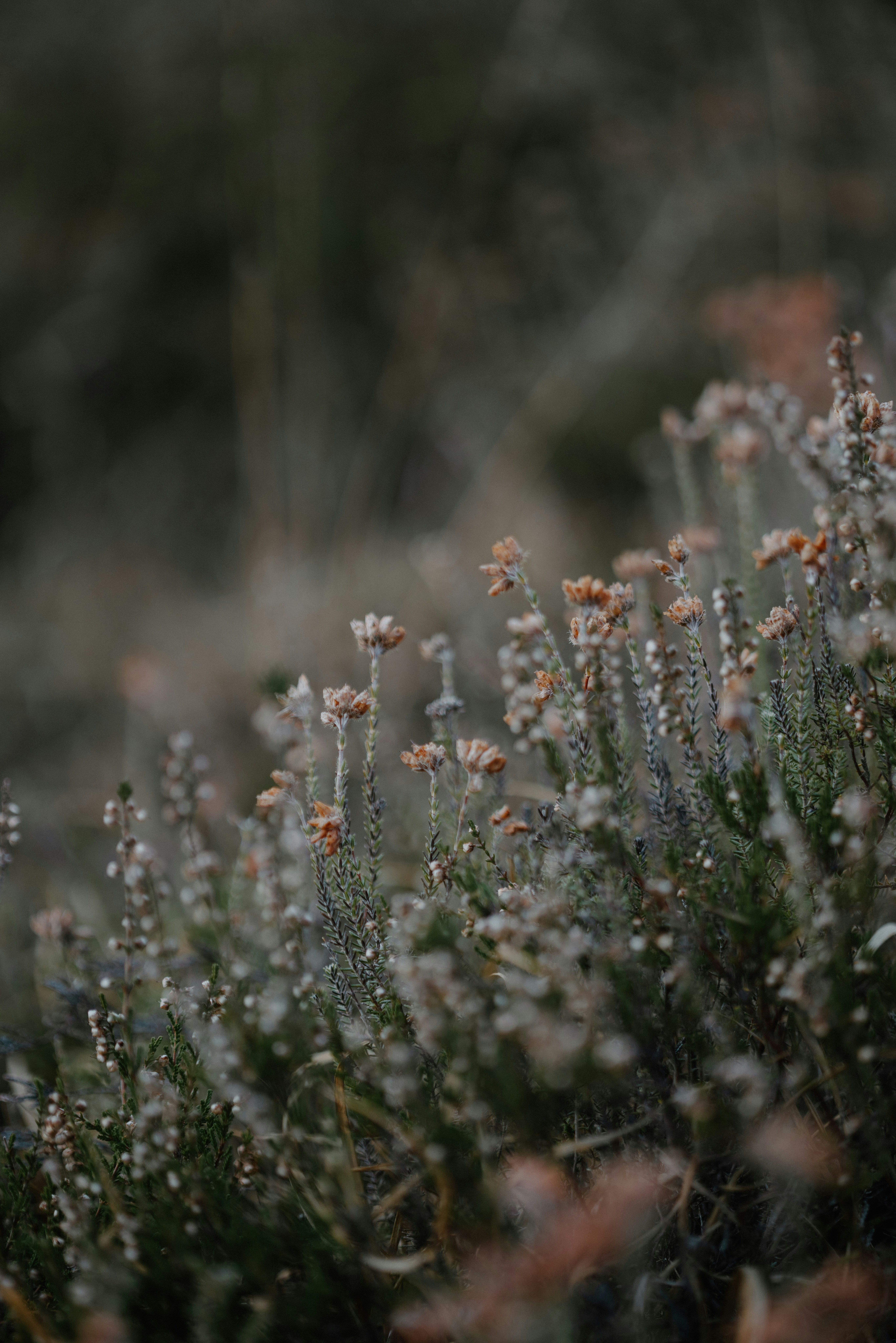 Photo by anniespratt