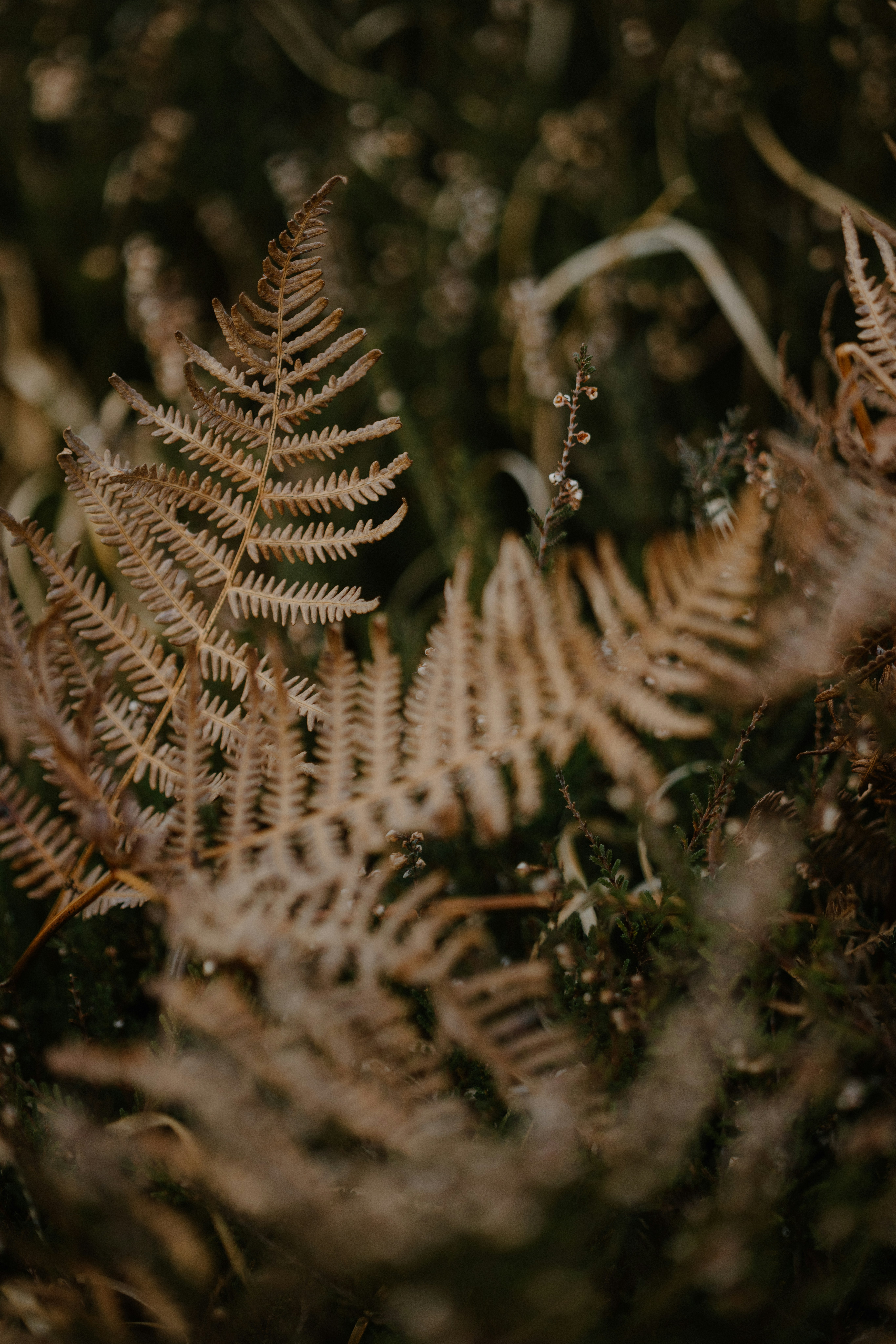 Photo by anniespratt