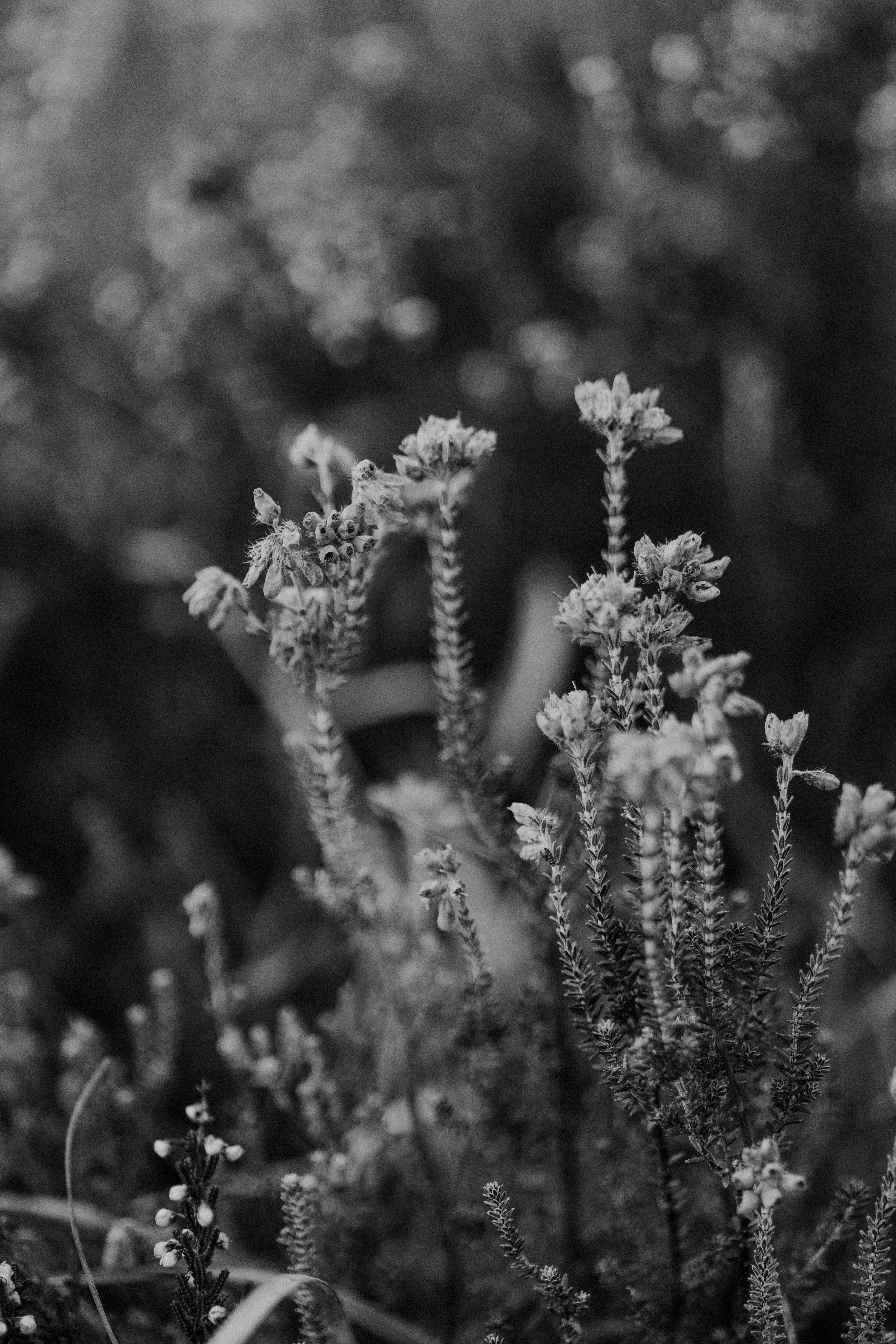 Photo by anniespratt