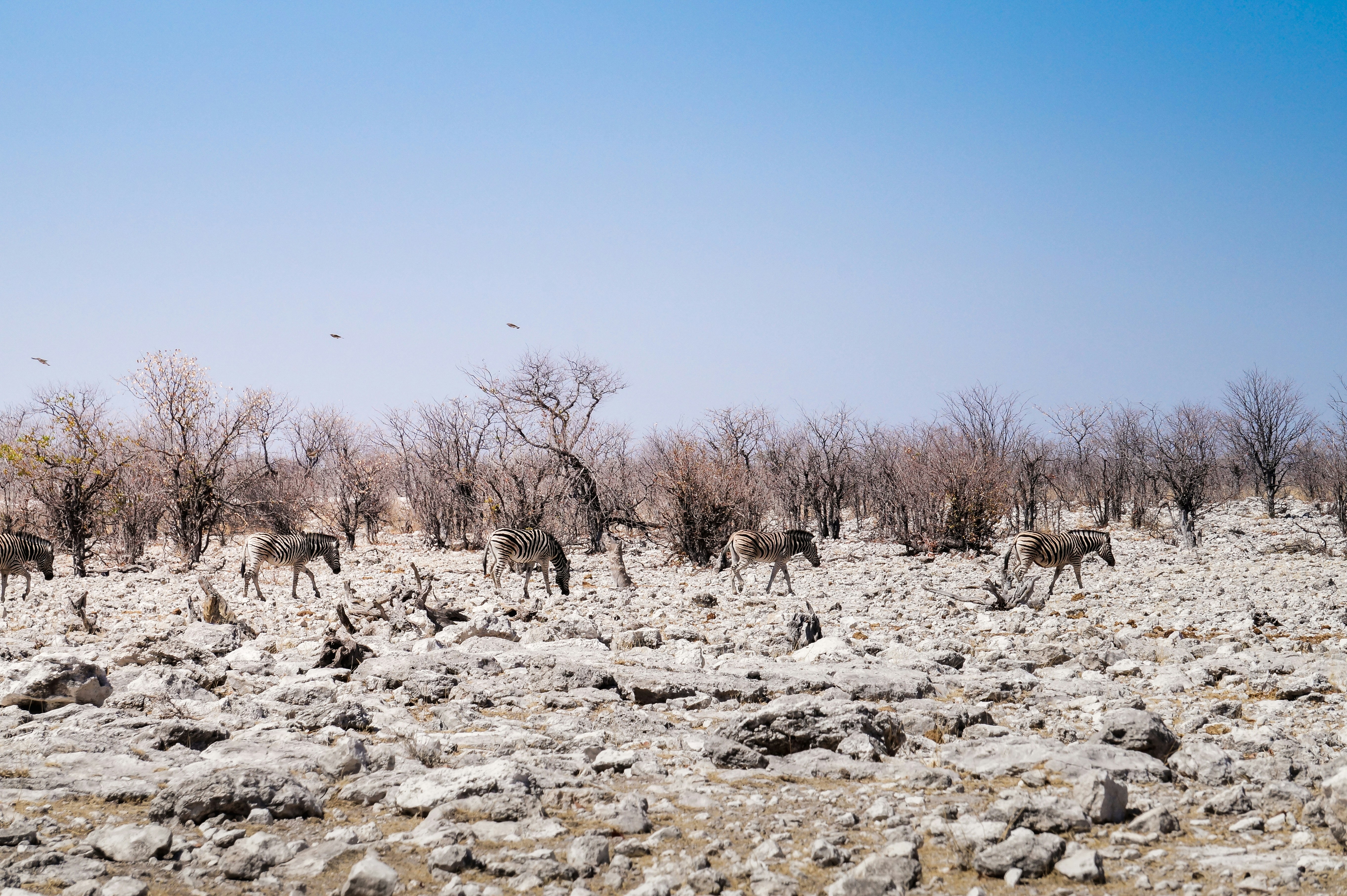 woman wearing yellow long-sleeved dress under white clouds and blue sky during daytime