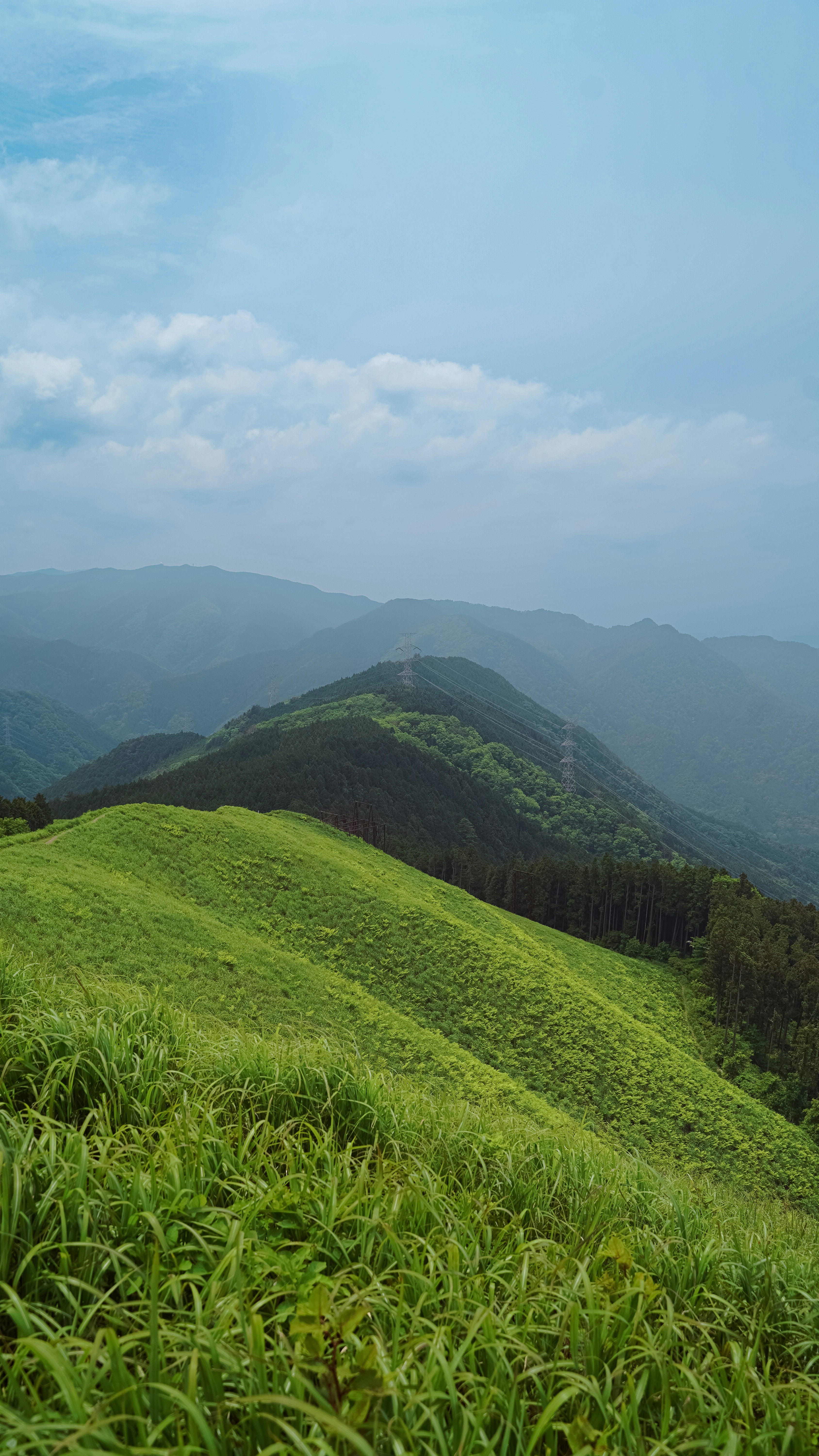 Photo by mayconcertoyou