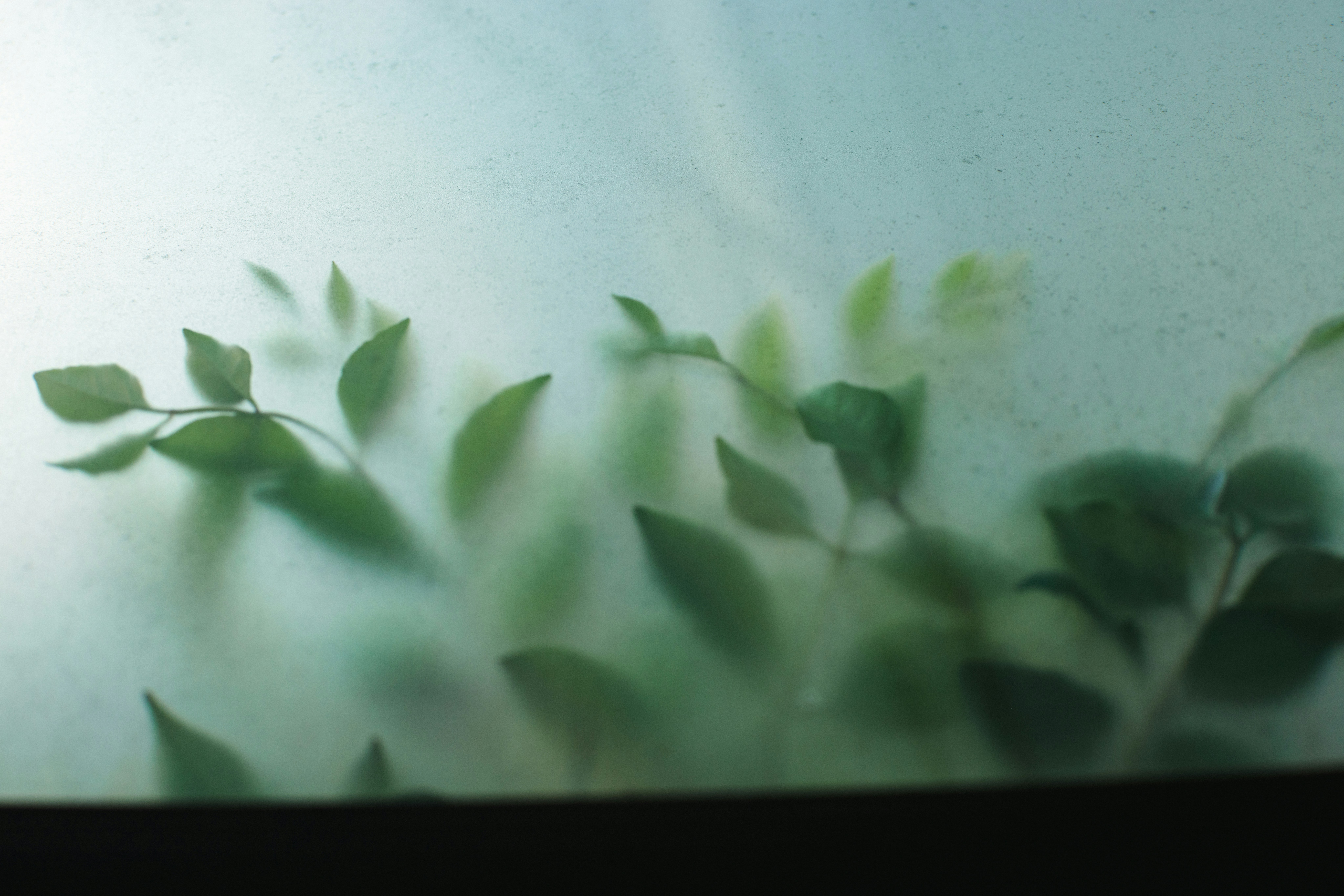 The Brain Science of Effective Note-Taking