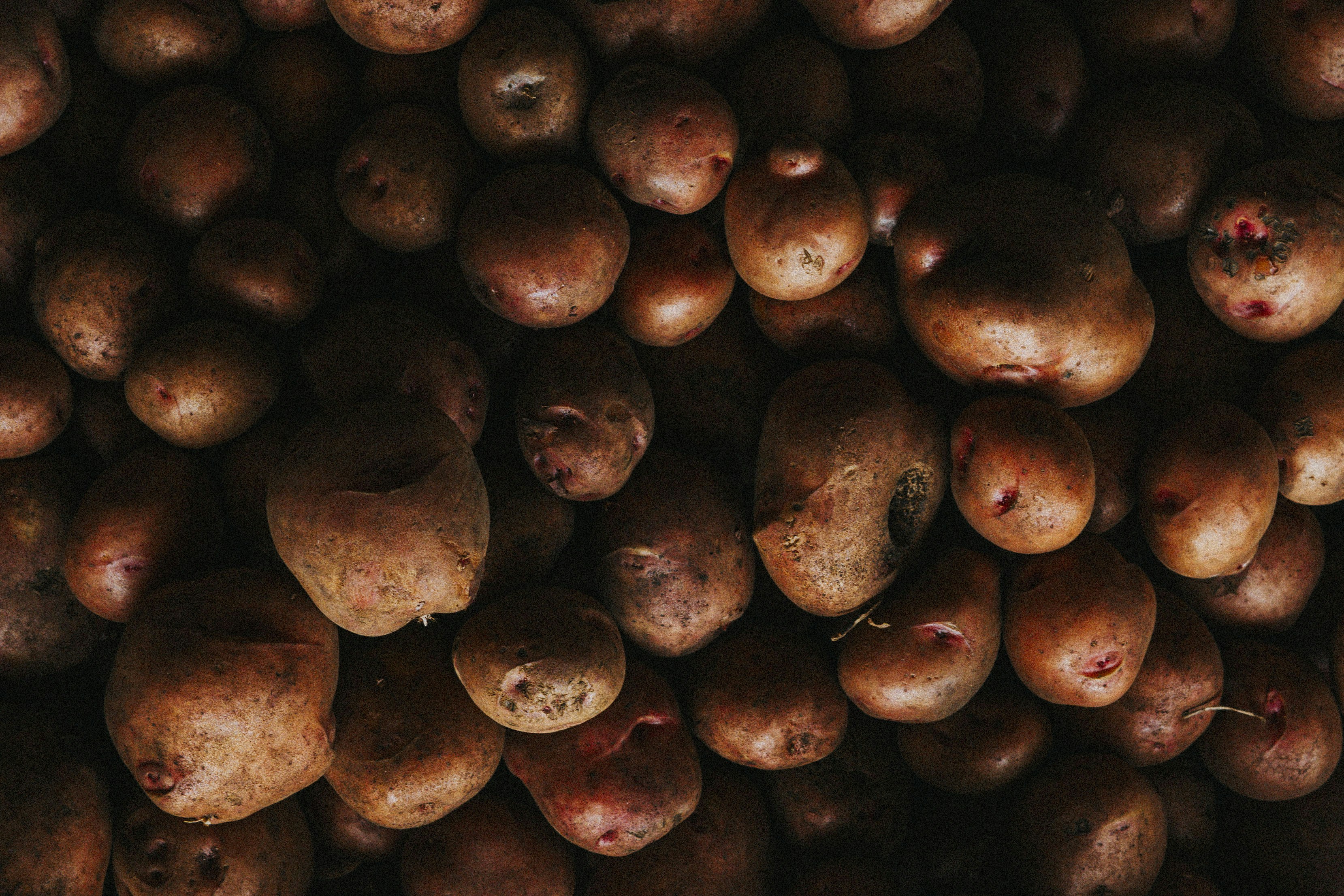 minimalist fitness wallpaper, wallpaper, Minimalist Home Gym Layout Ideas 2