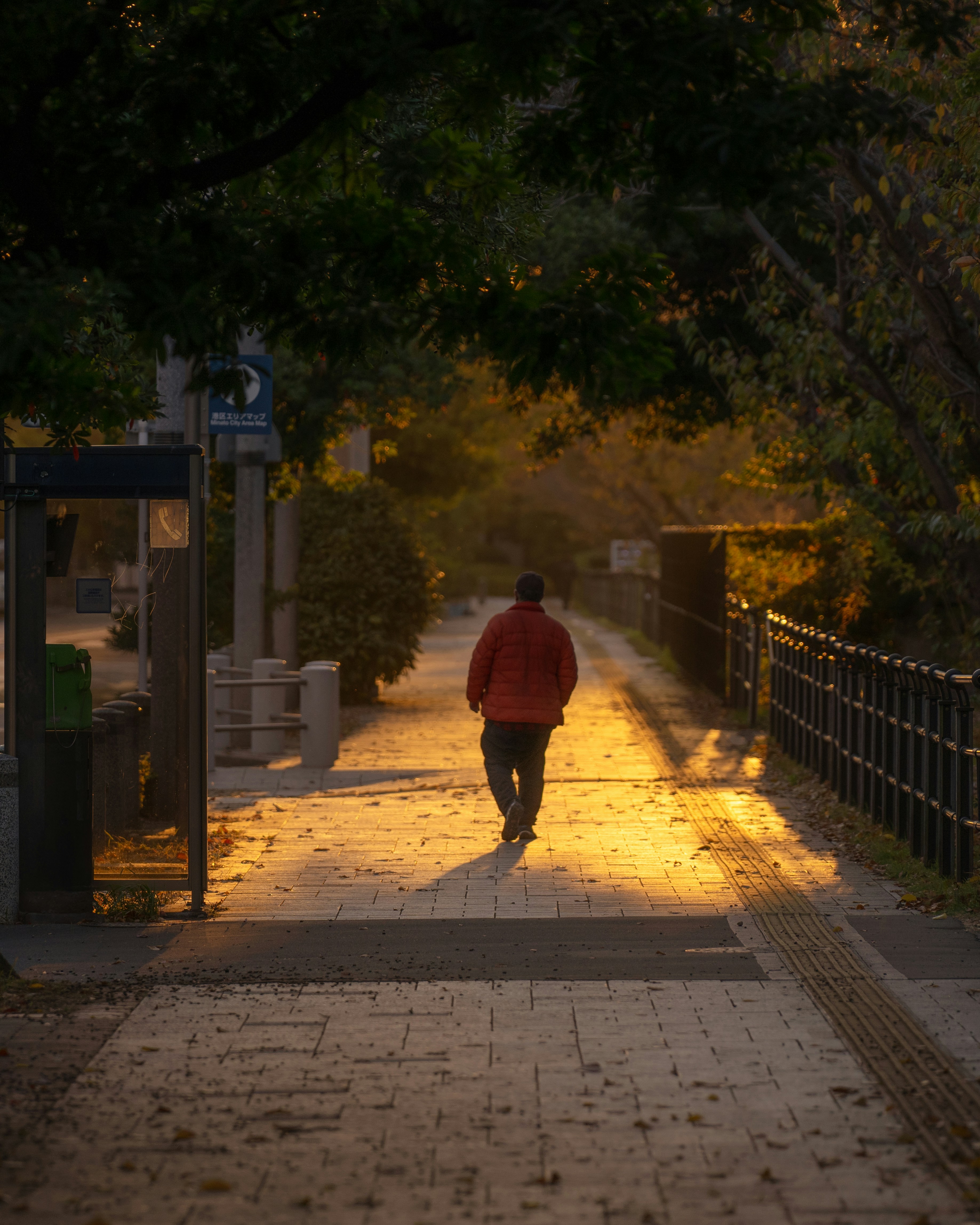 Photo by santonii