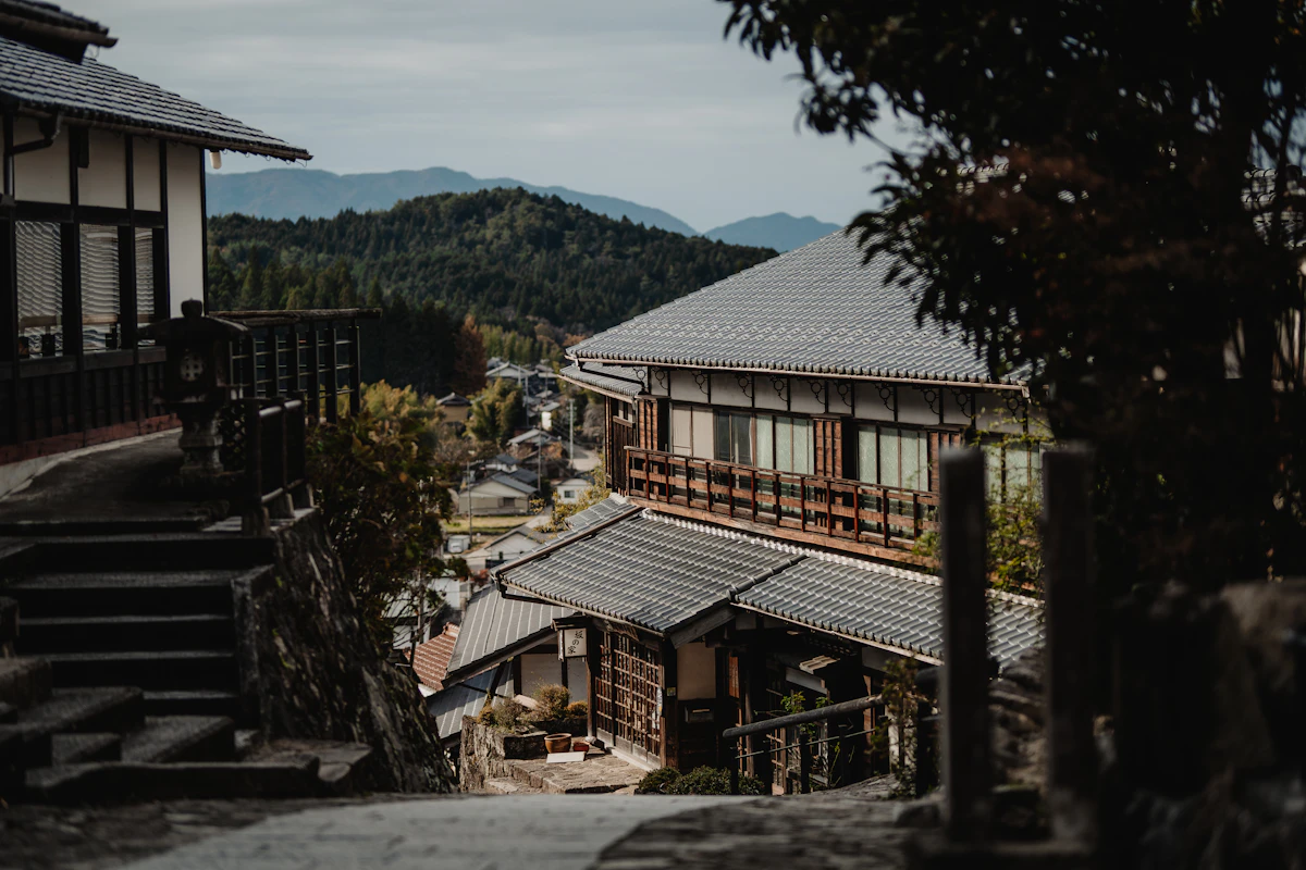 Mountain forest trail