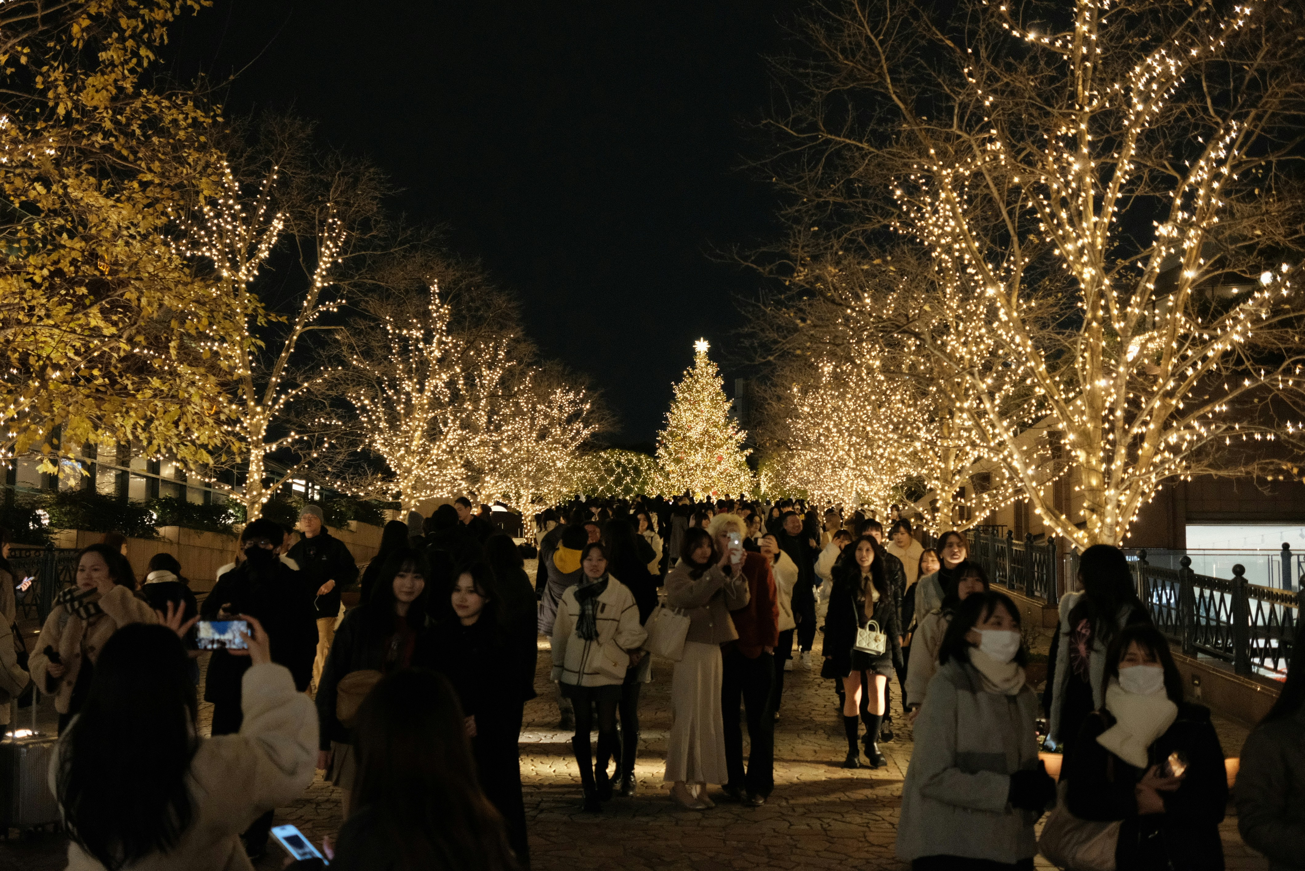 A crowd of people standing around a park at night