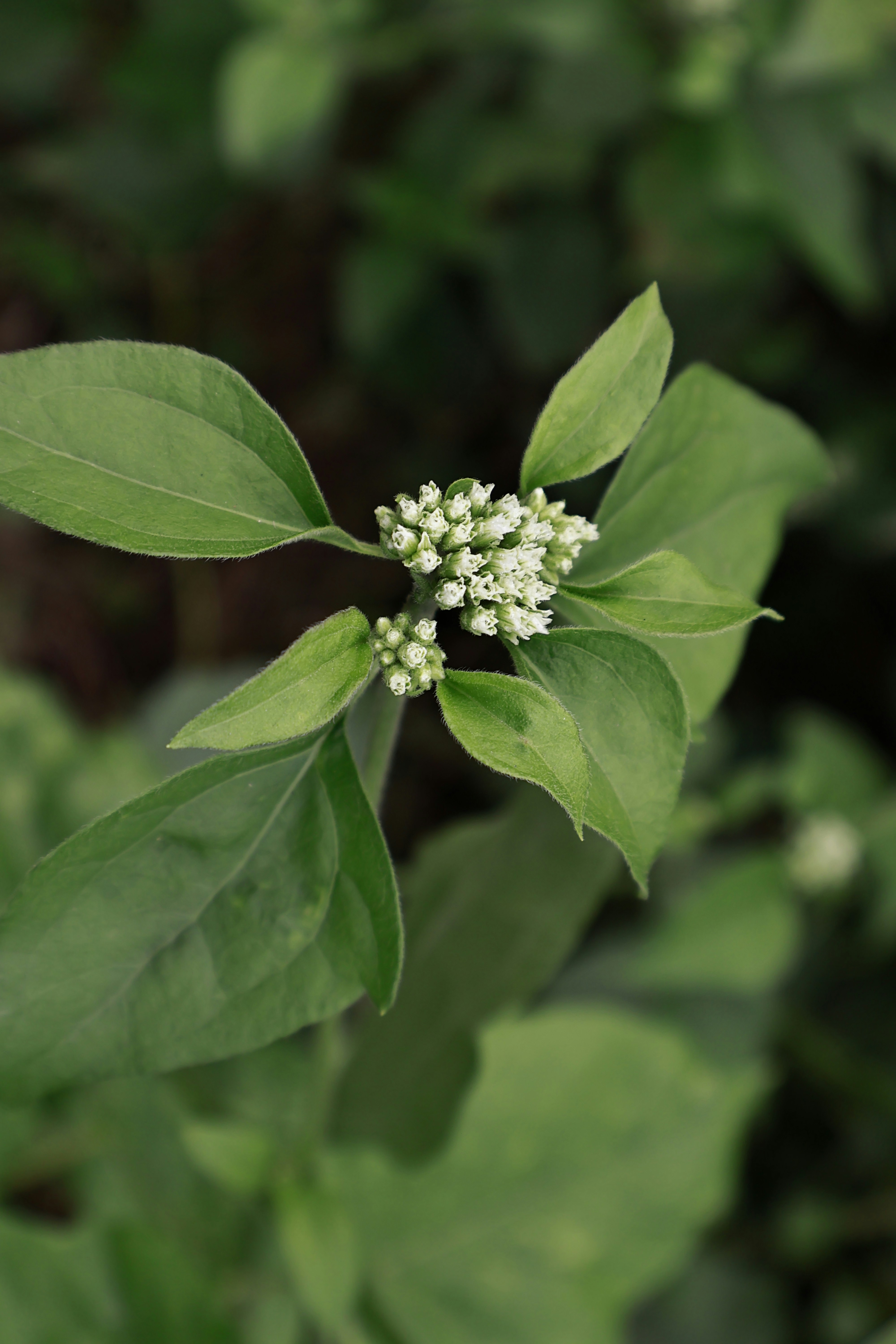 Photo by bakkiya2197