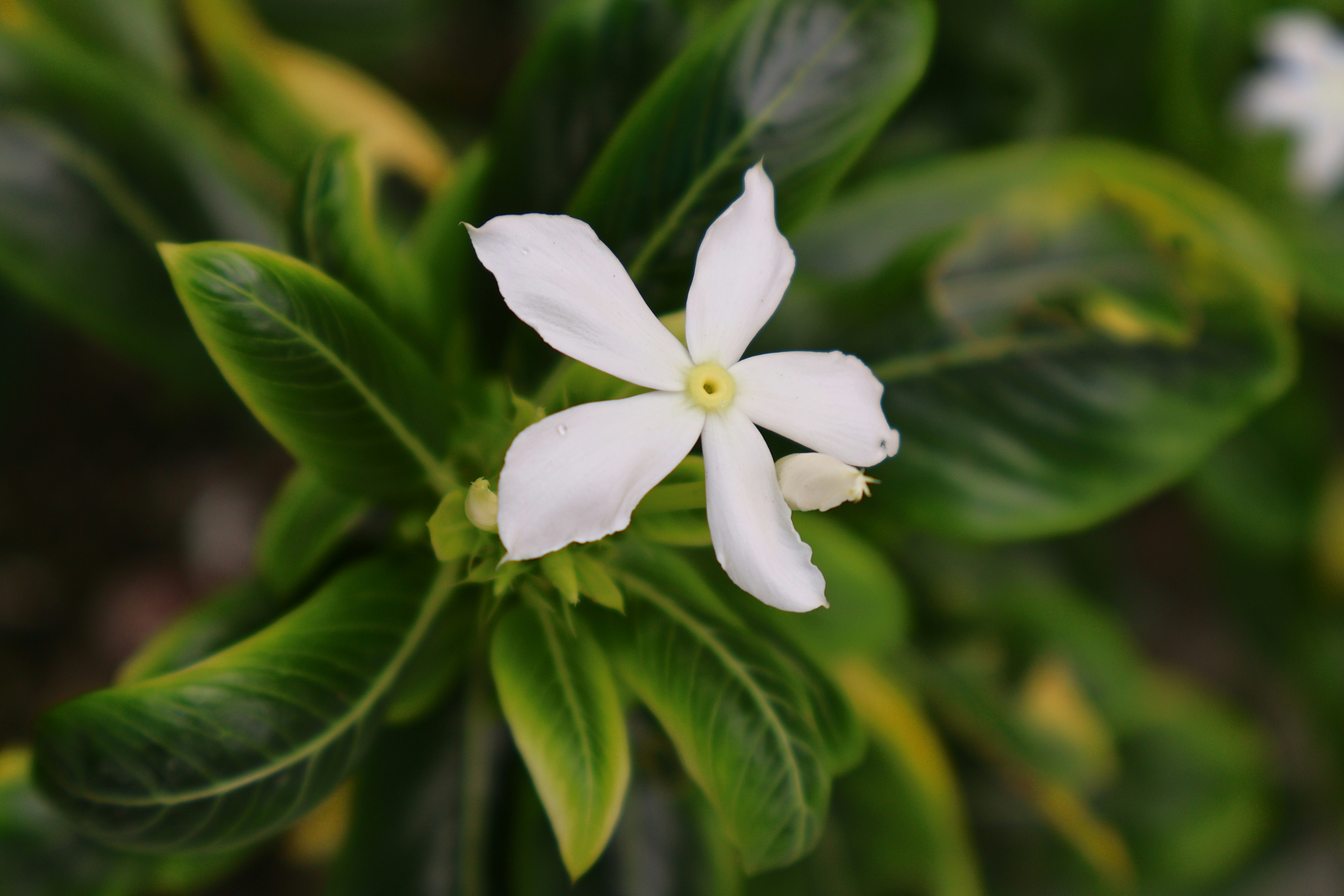 Photo by bakkiya2197