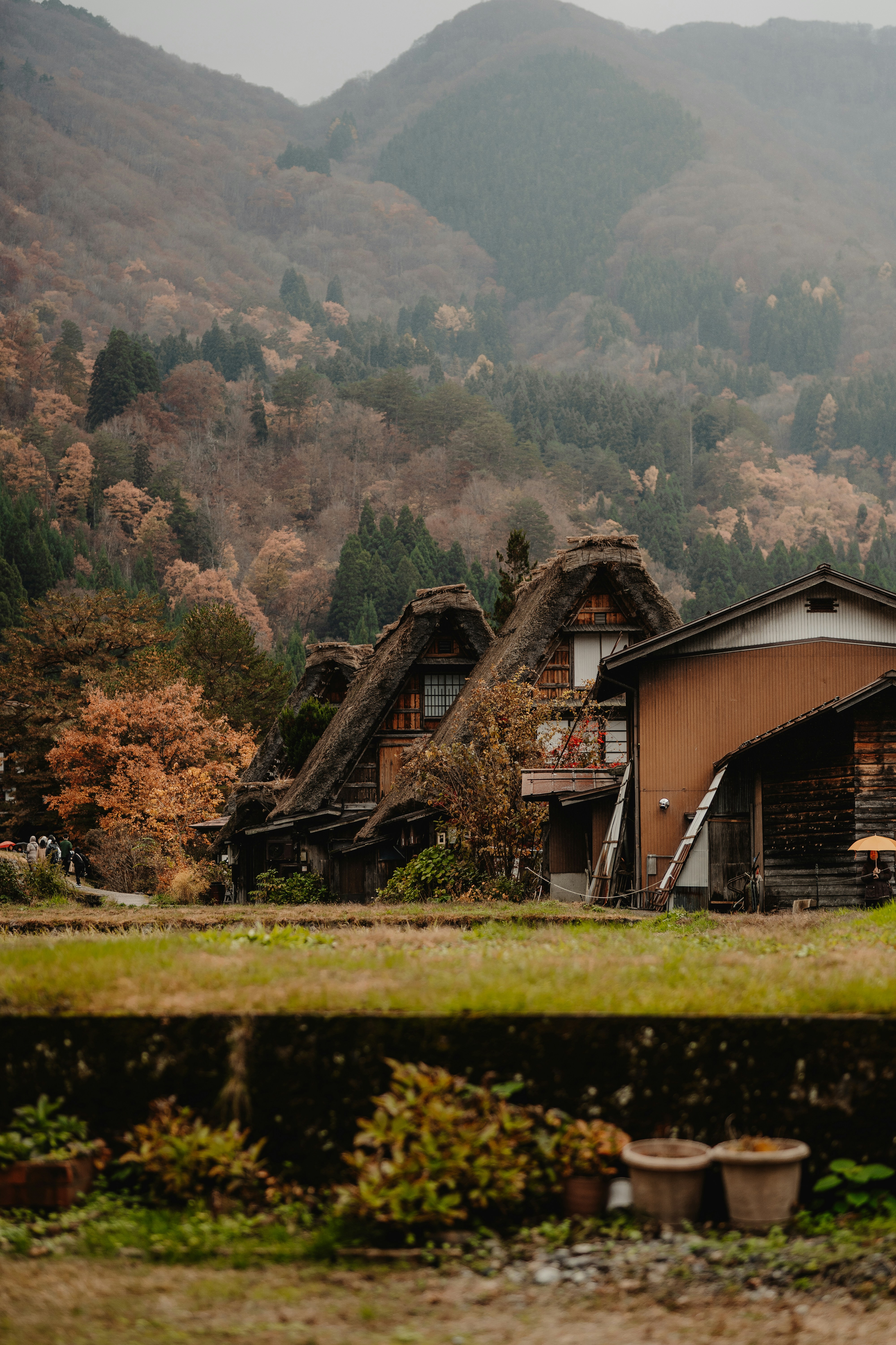 A couple of houses sitting on top of a lush green hillside