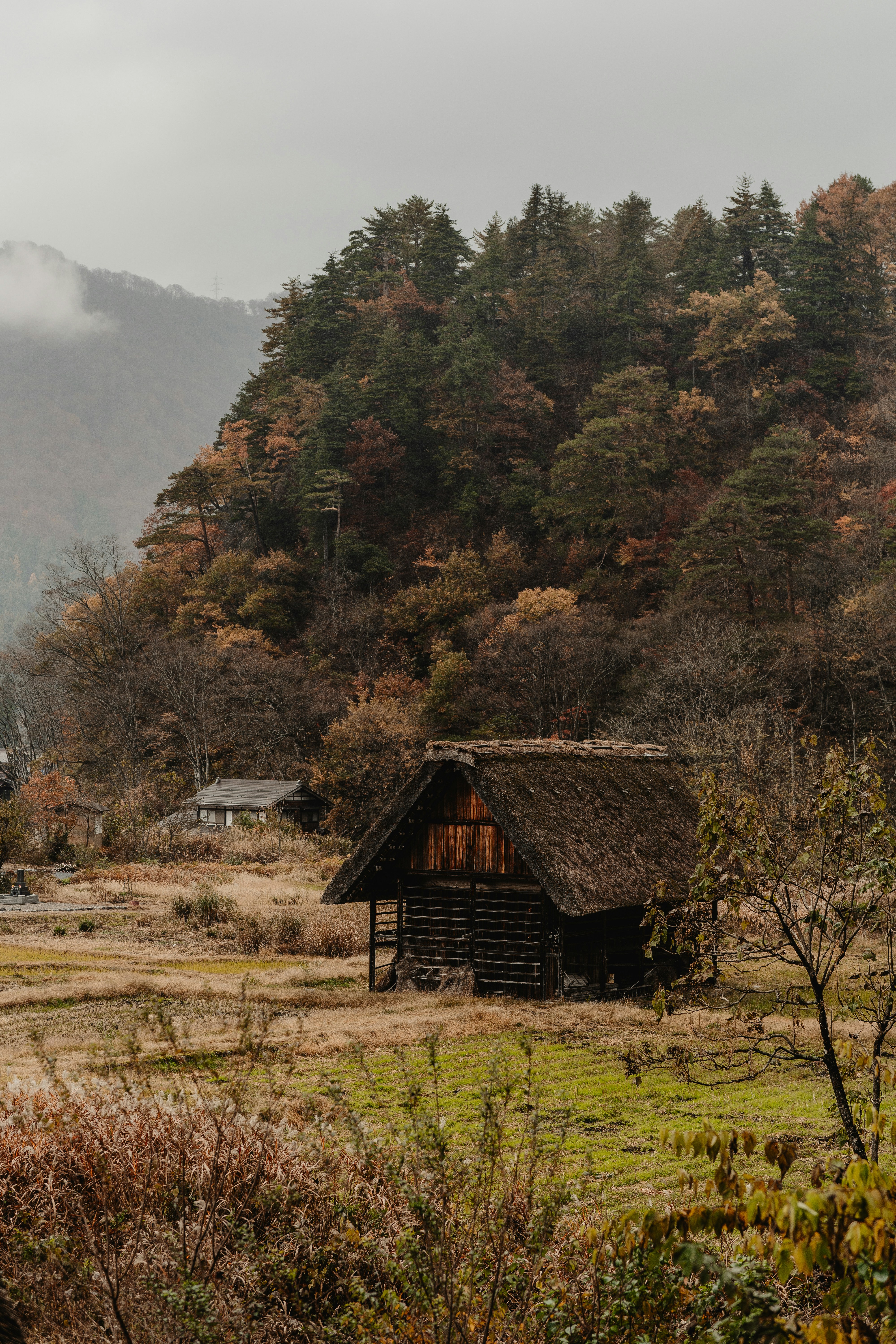 A small cabin in a field with mountains in the background