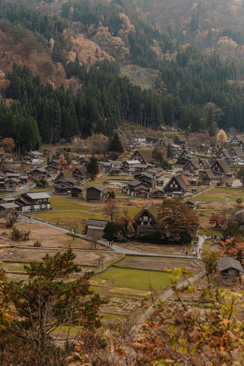 Rural villages, Japanese countryside, Local government office, Population registration, Mountain villages