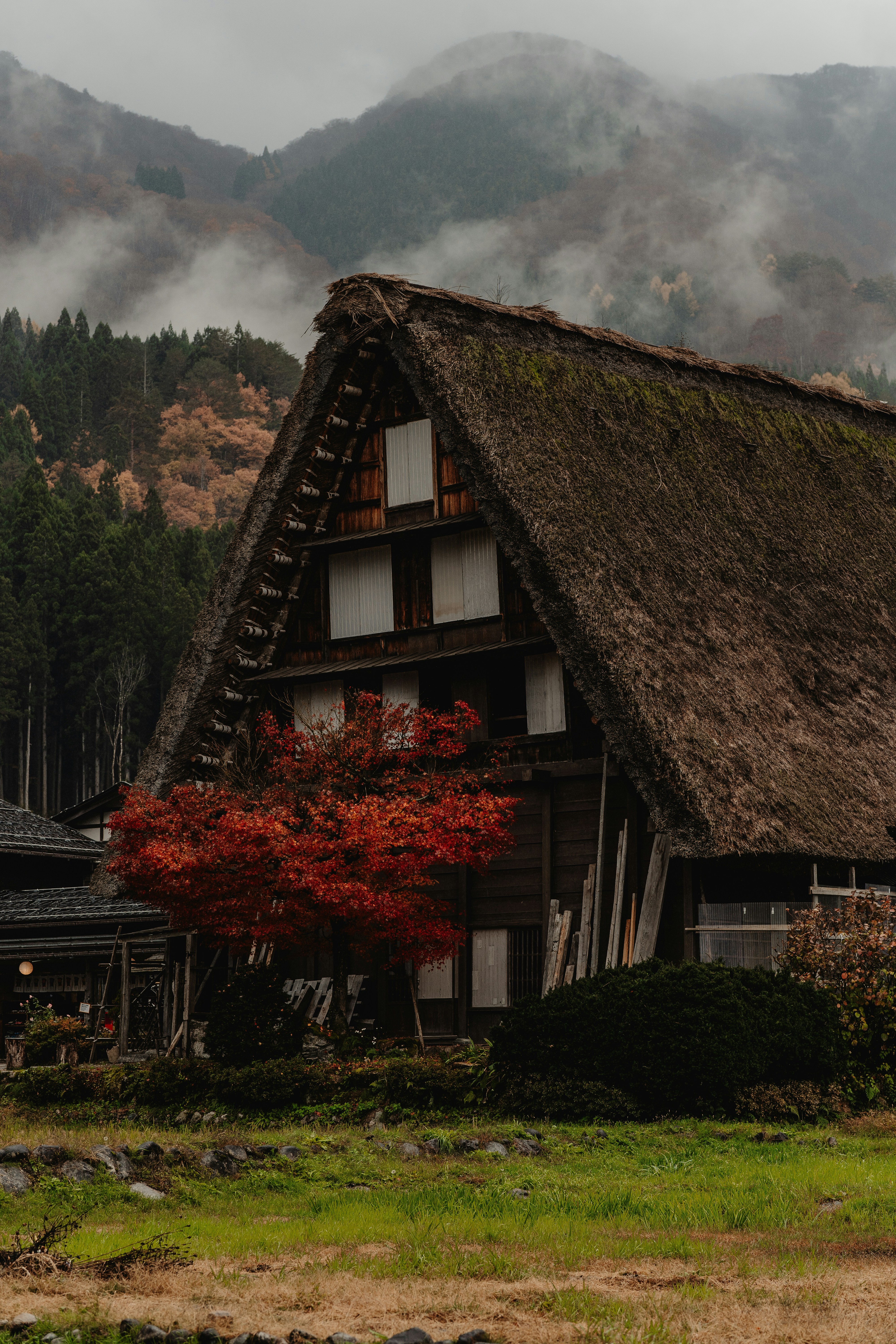 A house with a thatched roof in the mountains
