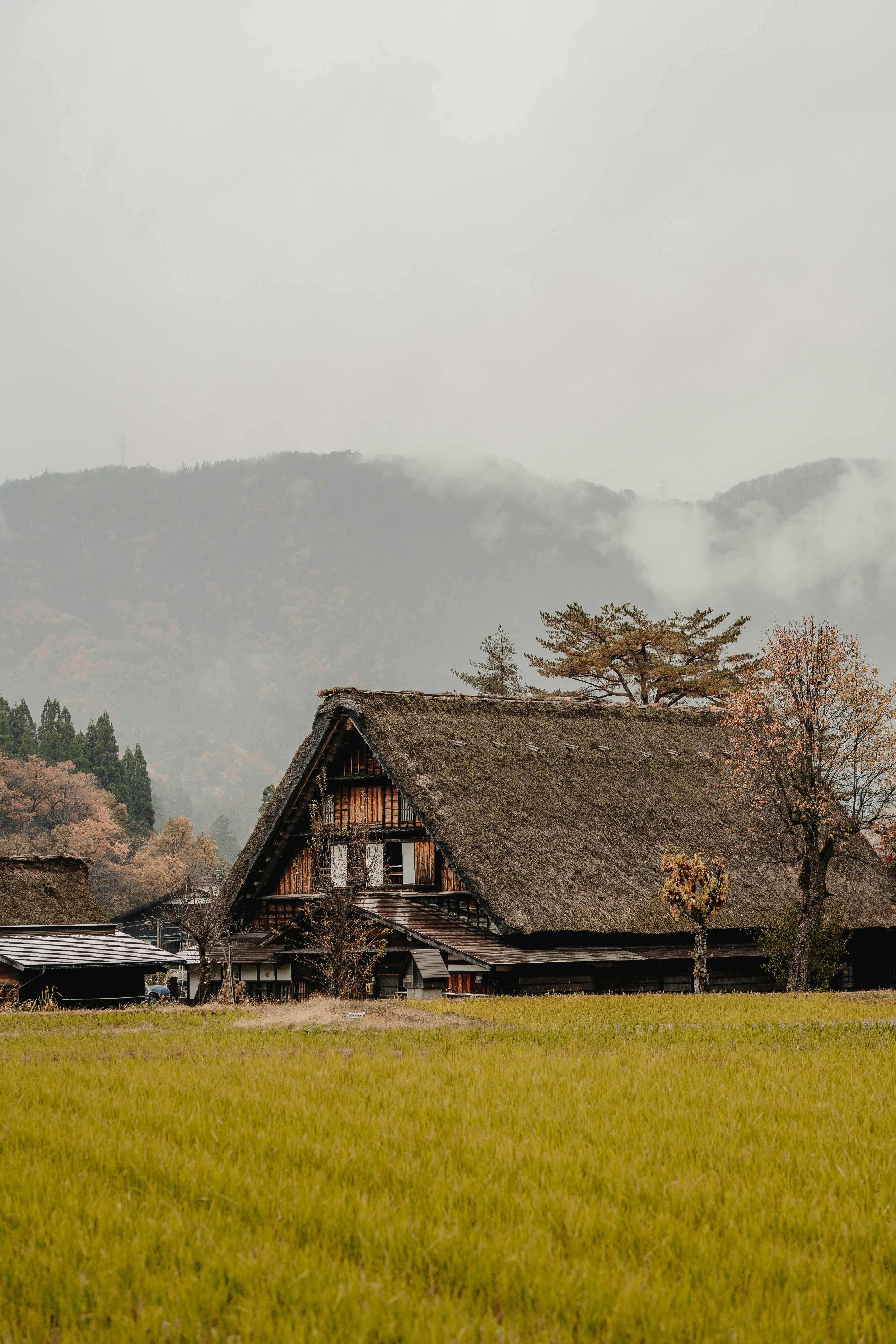 A farm house in the middle of a field
