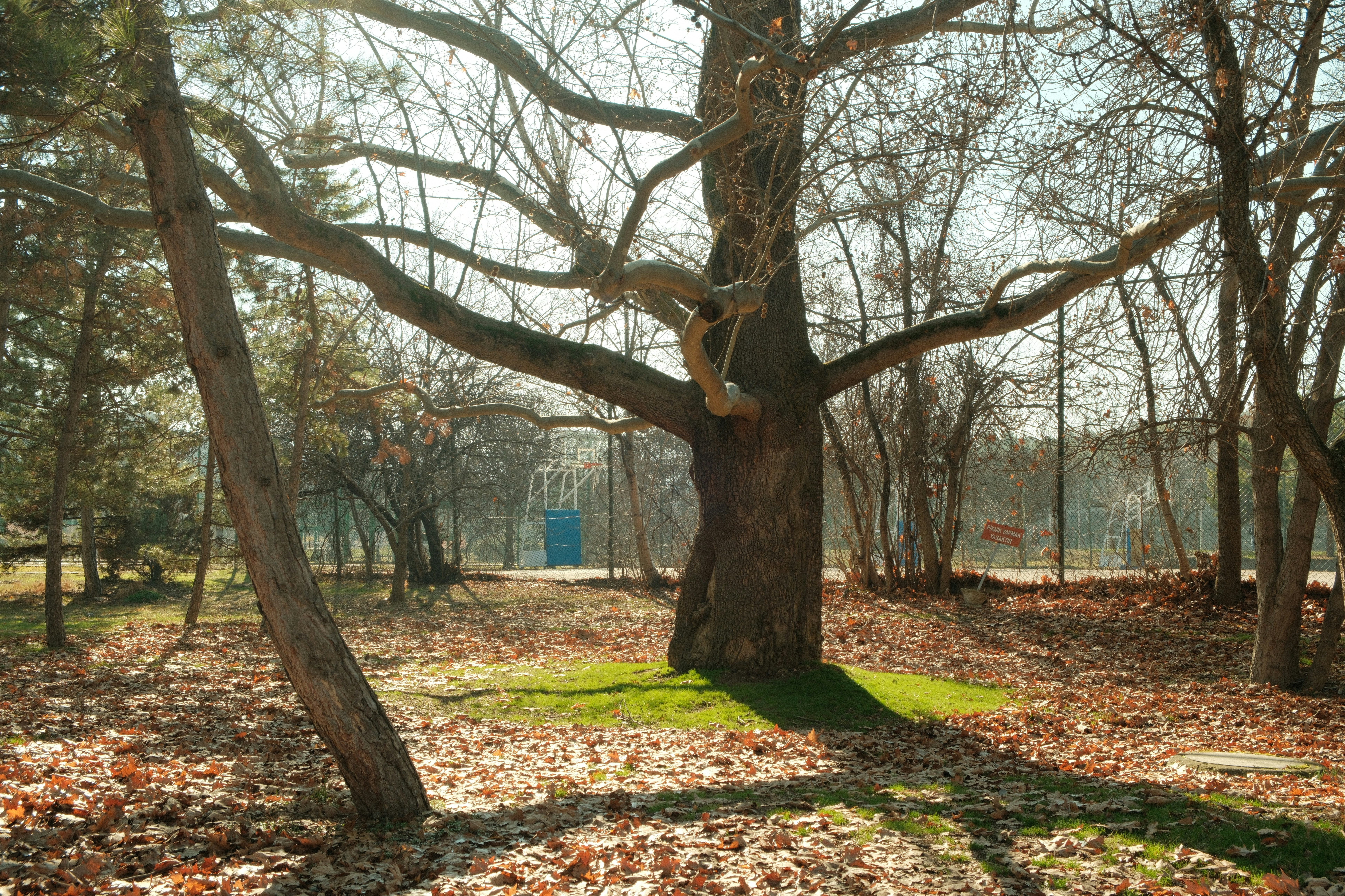 Photo by ismailefetop