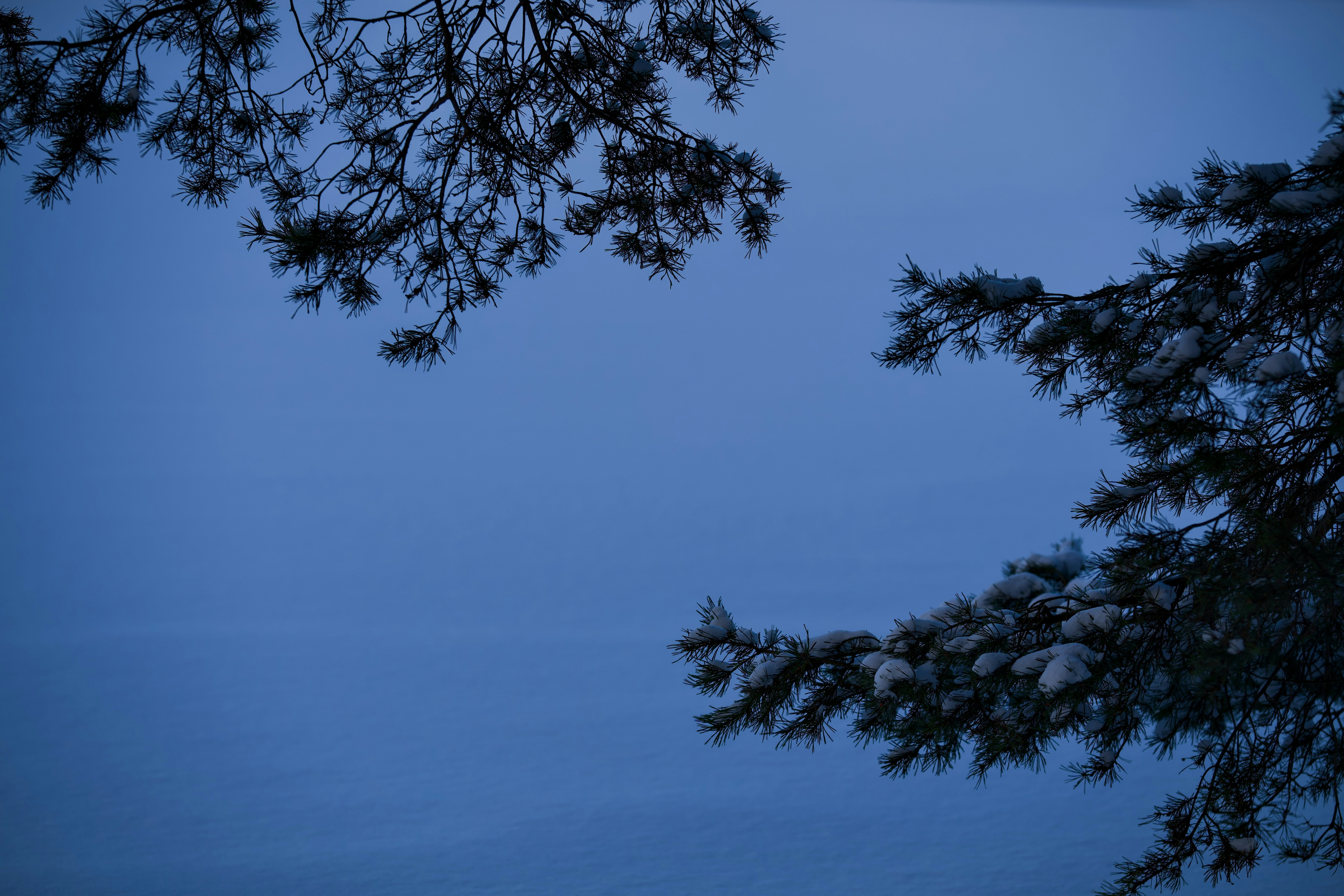 Photo by kos8256