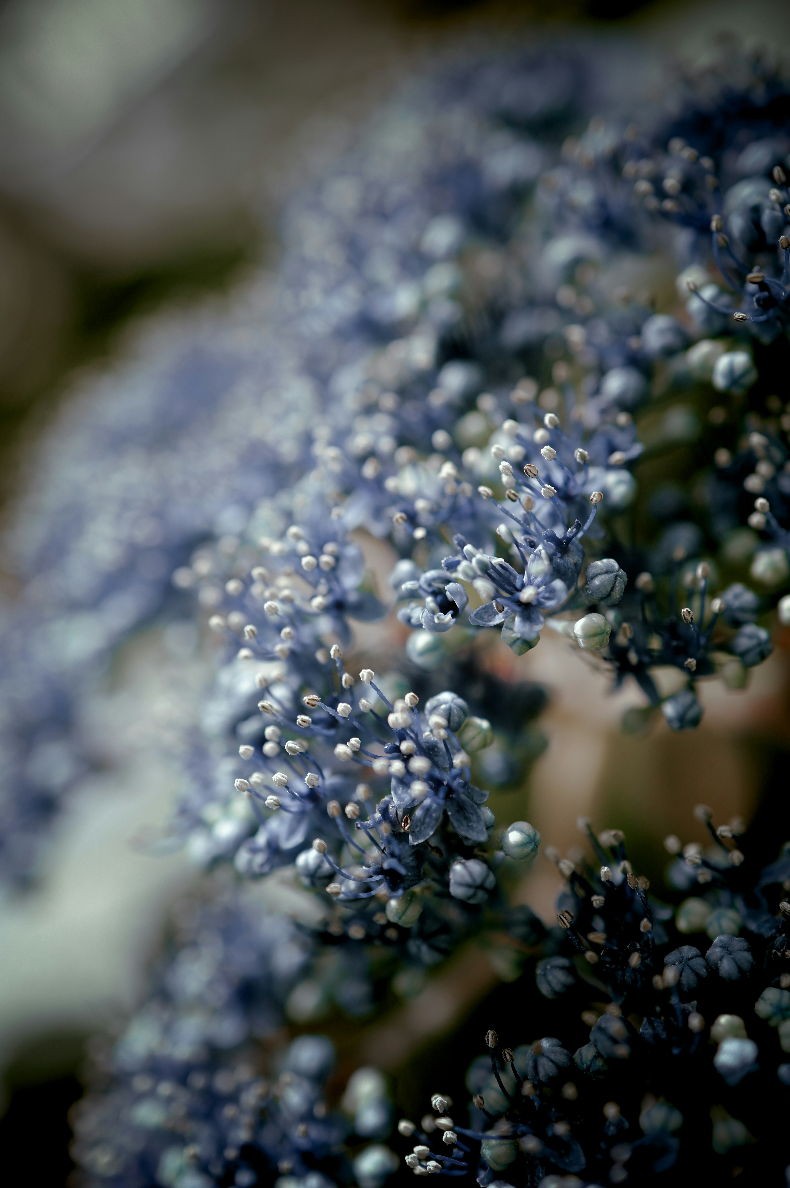 Photo by evgeniya_pron