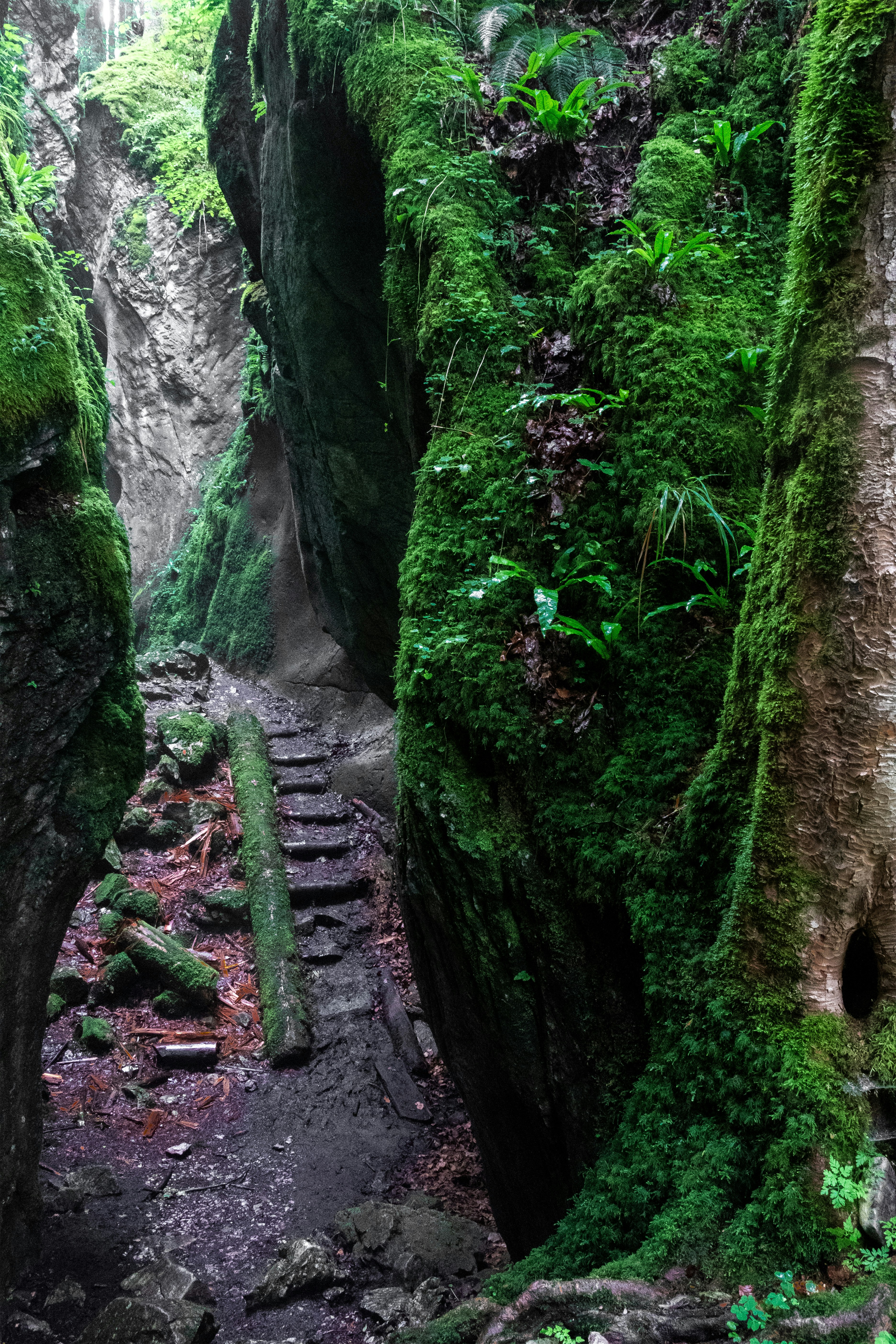 A Narrow Path With Moss Growing On The Rocks Photo Free Austria Image 