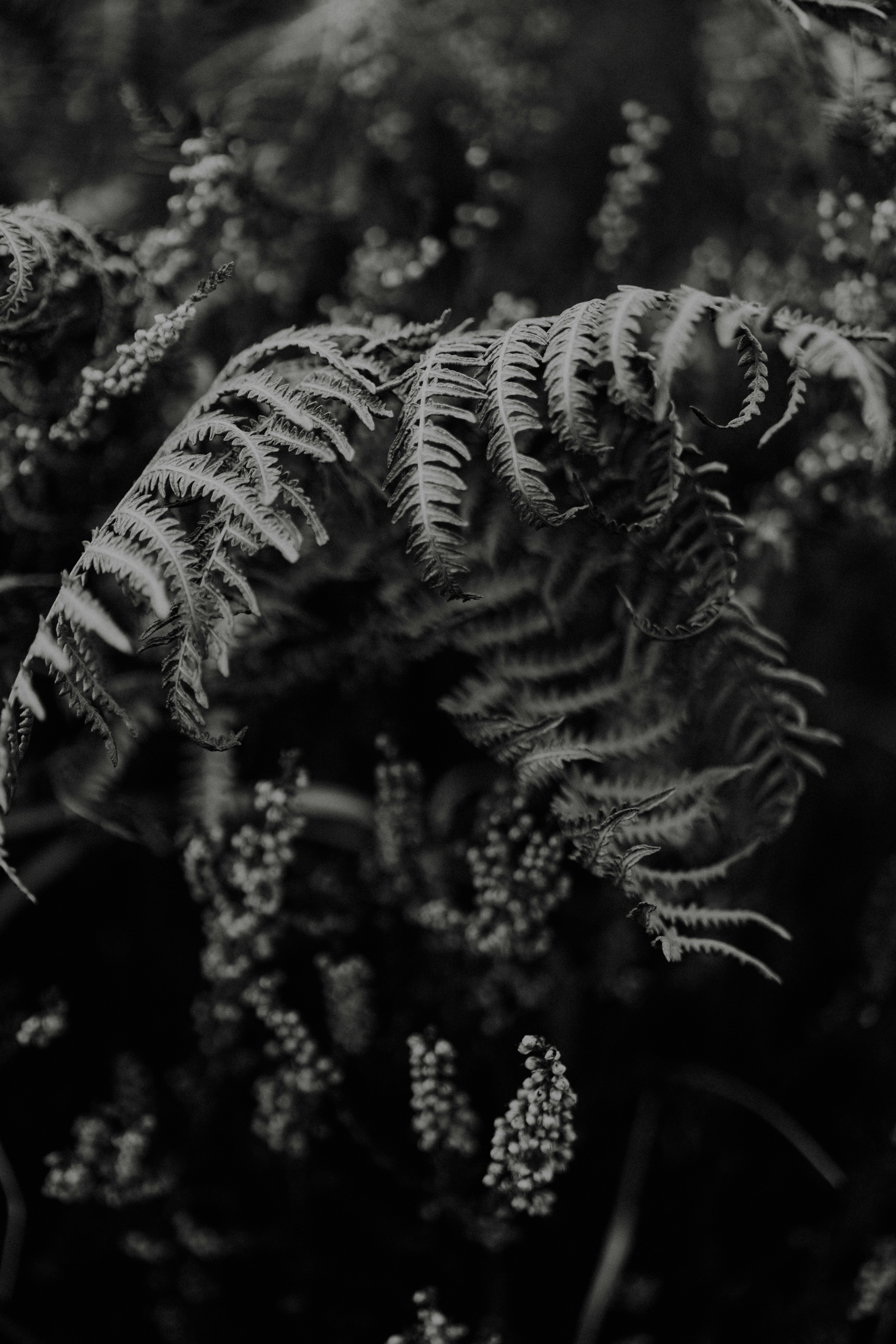 Photo by anniespratt