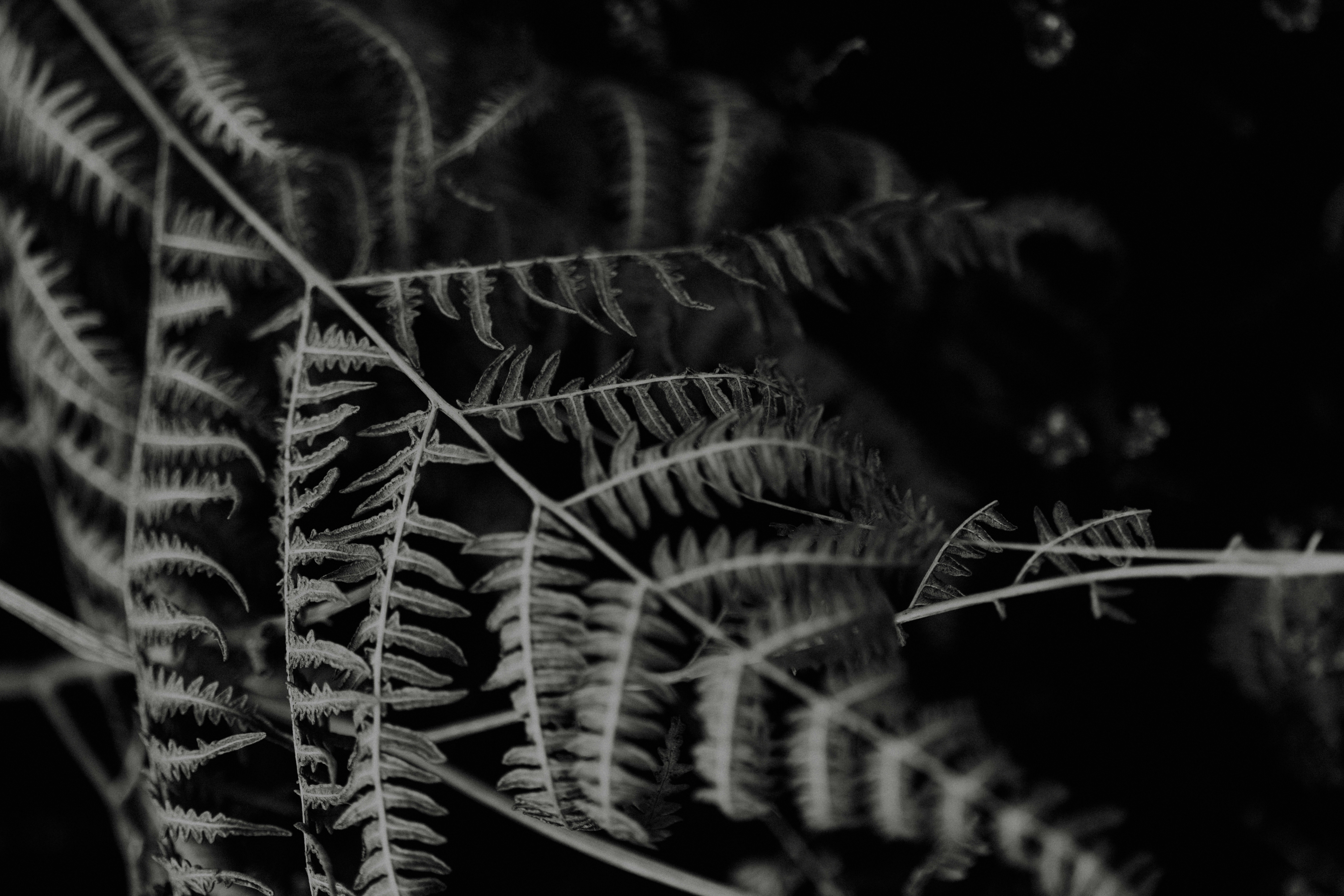 Photo by anniespratt