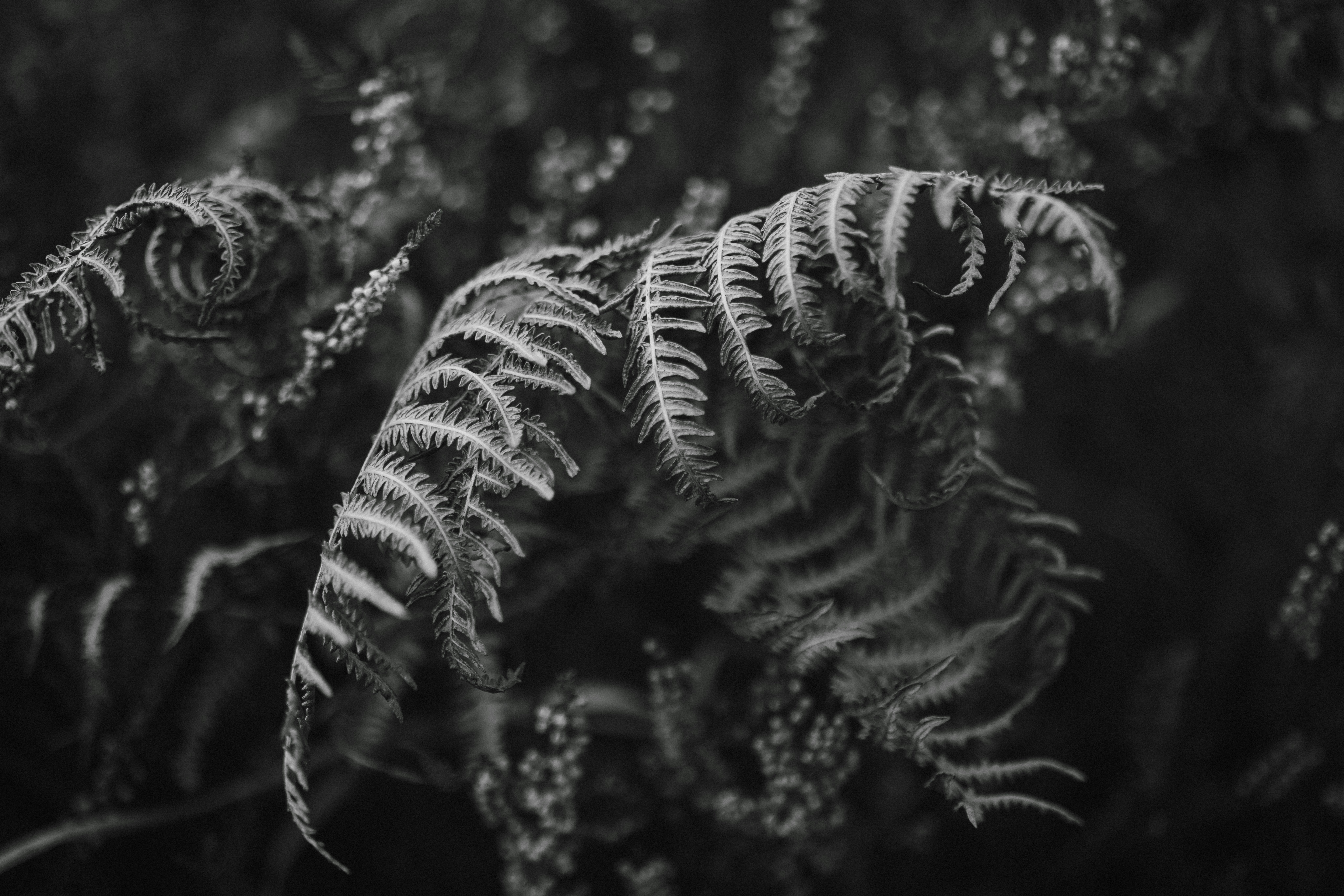 Photo by anniespratt