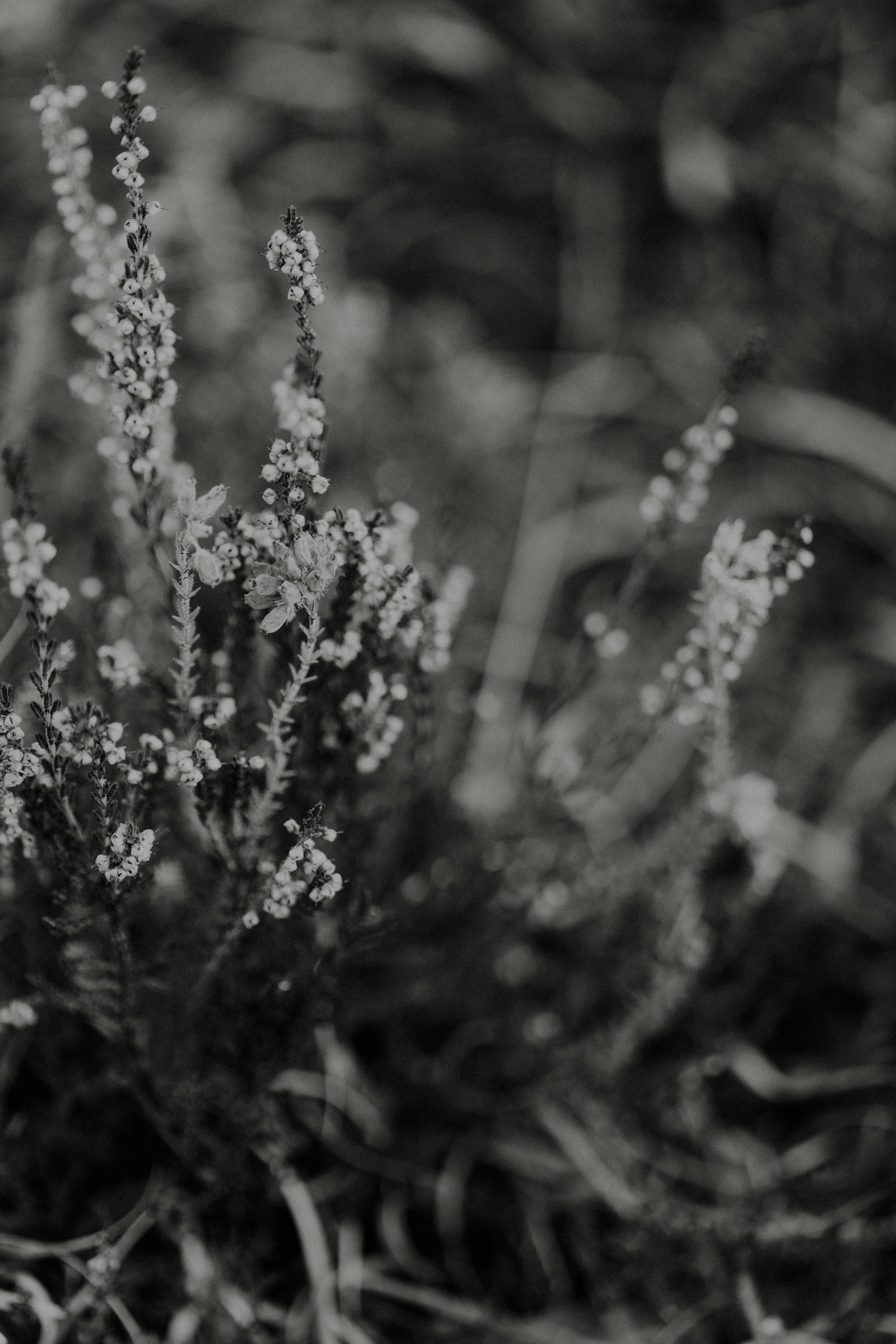 Photo by anniespratt