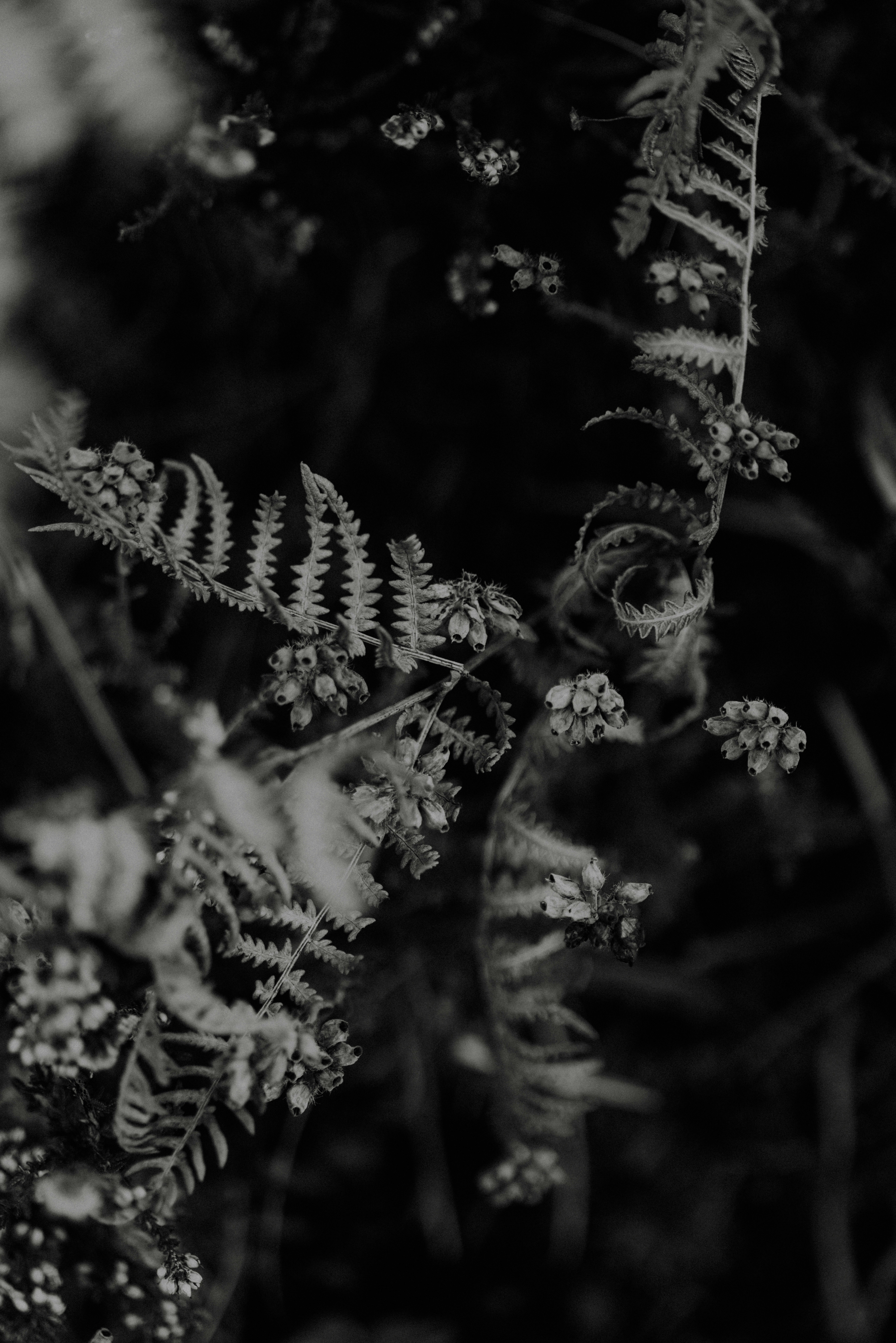 Photo by anniespratt