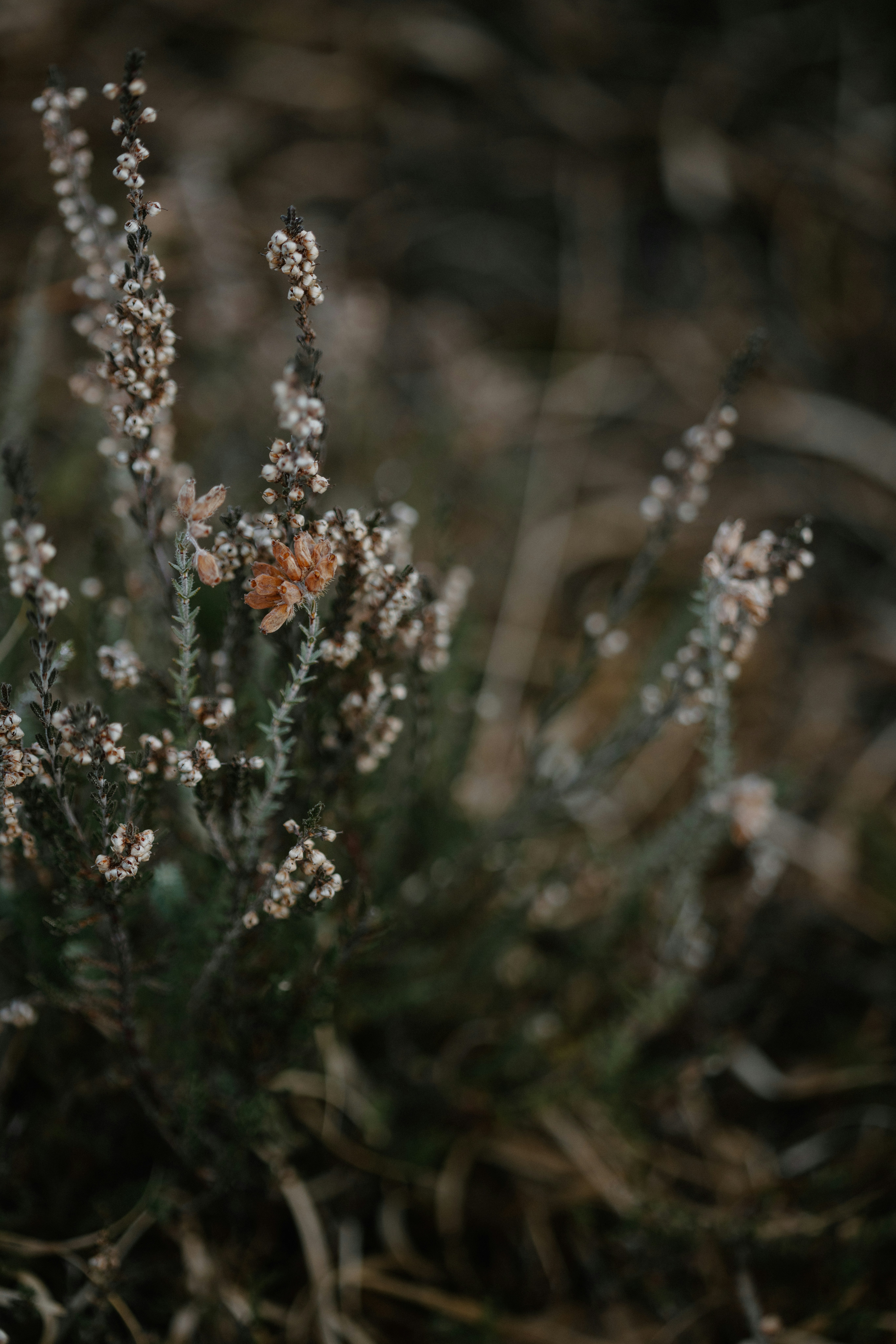 Photo by anniespratt