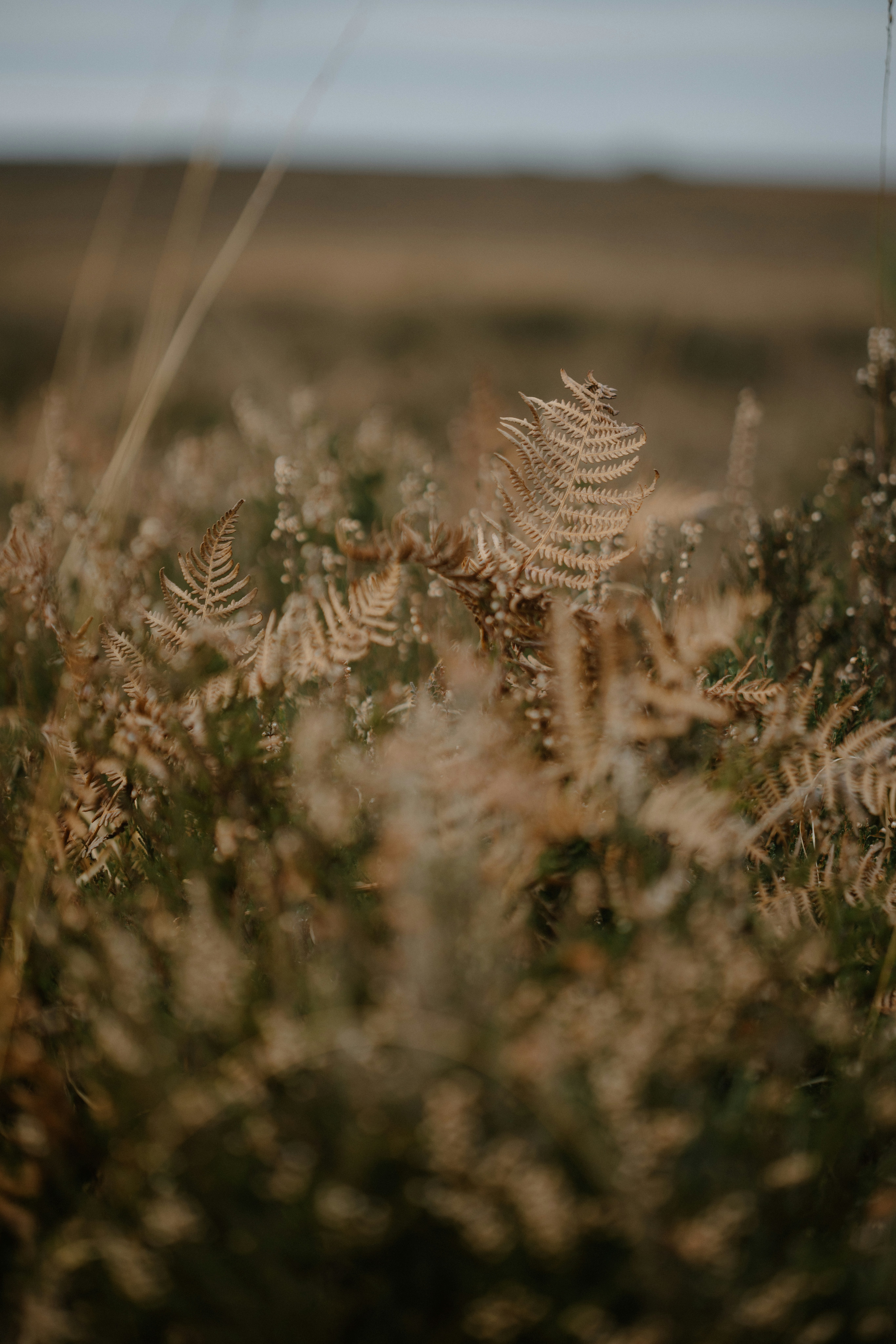 Photo by anniespratt