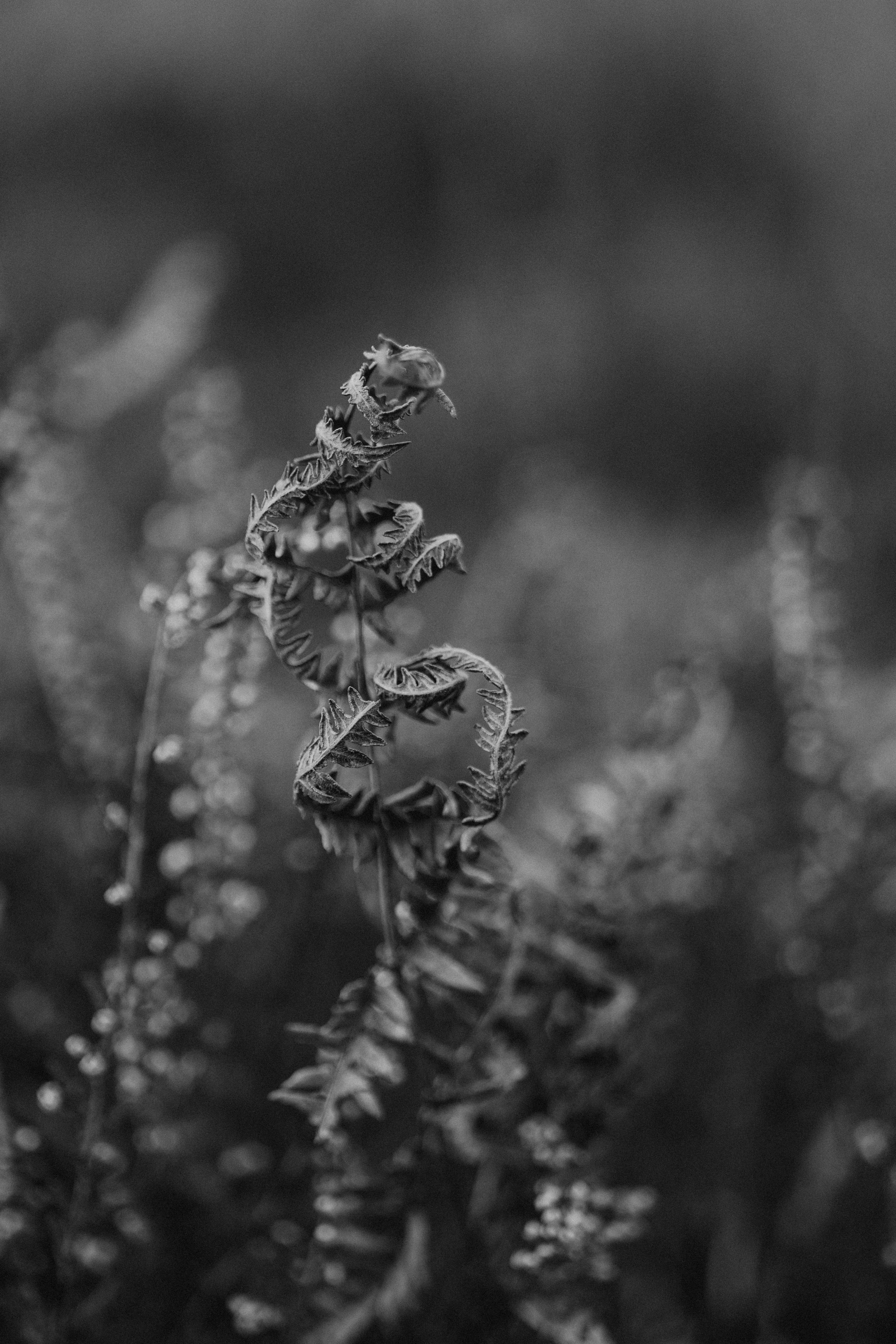 Photo by anniespratt