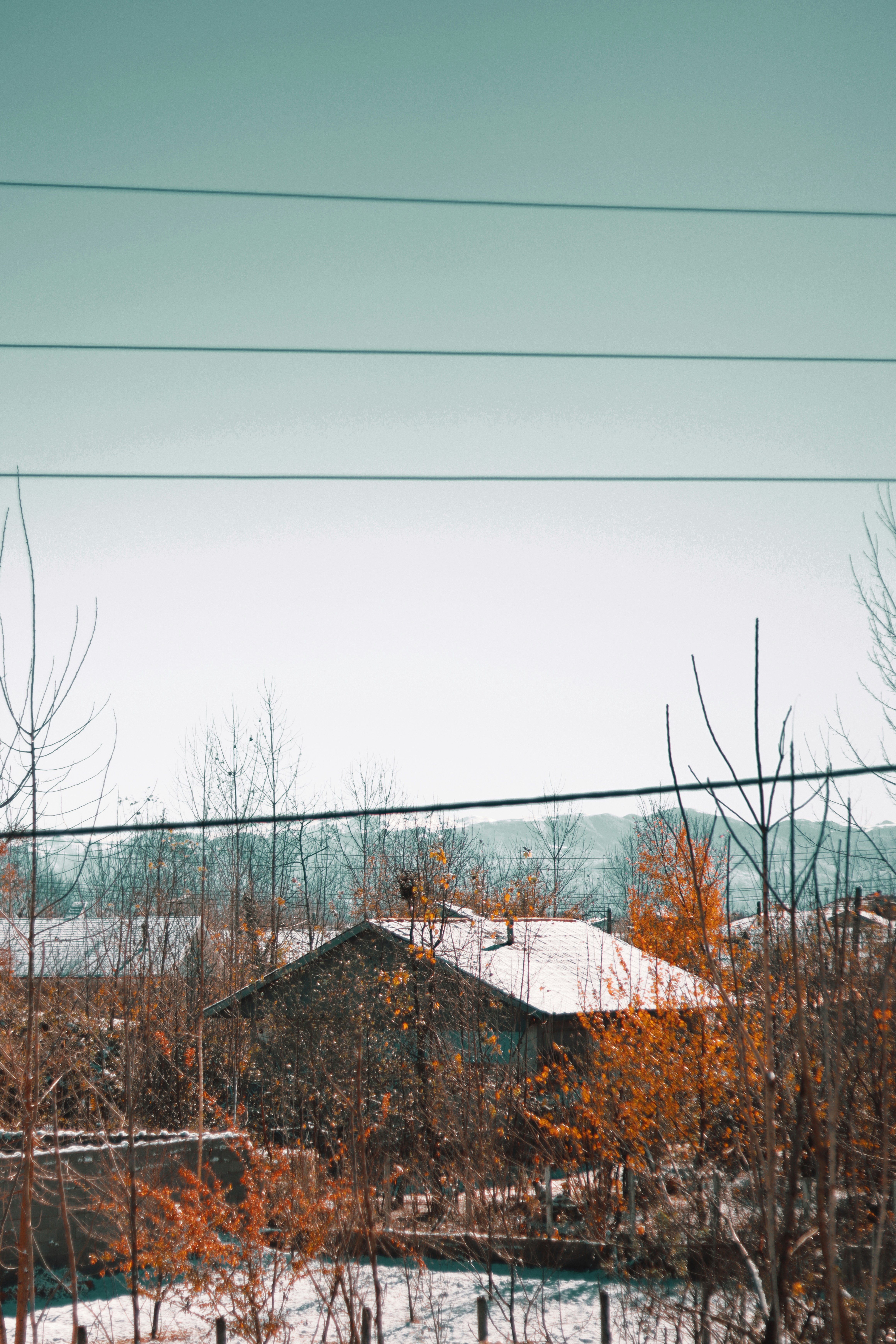 Photo by bita_eskandari