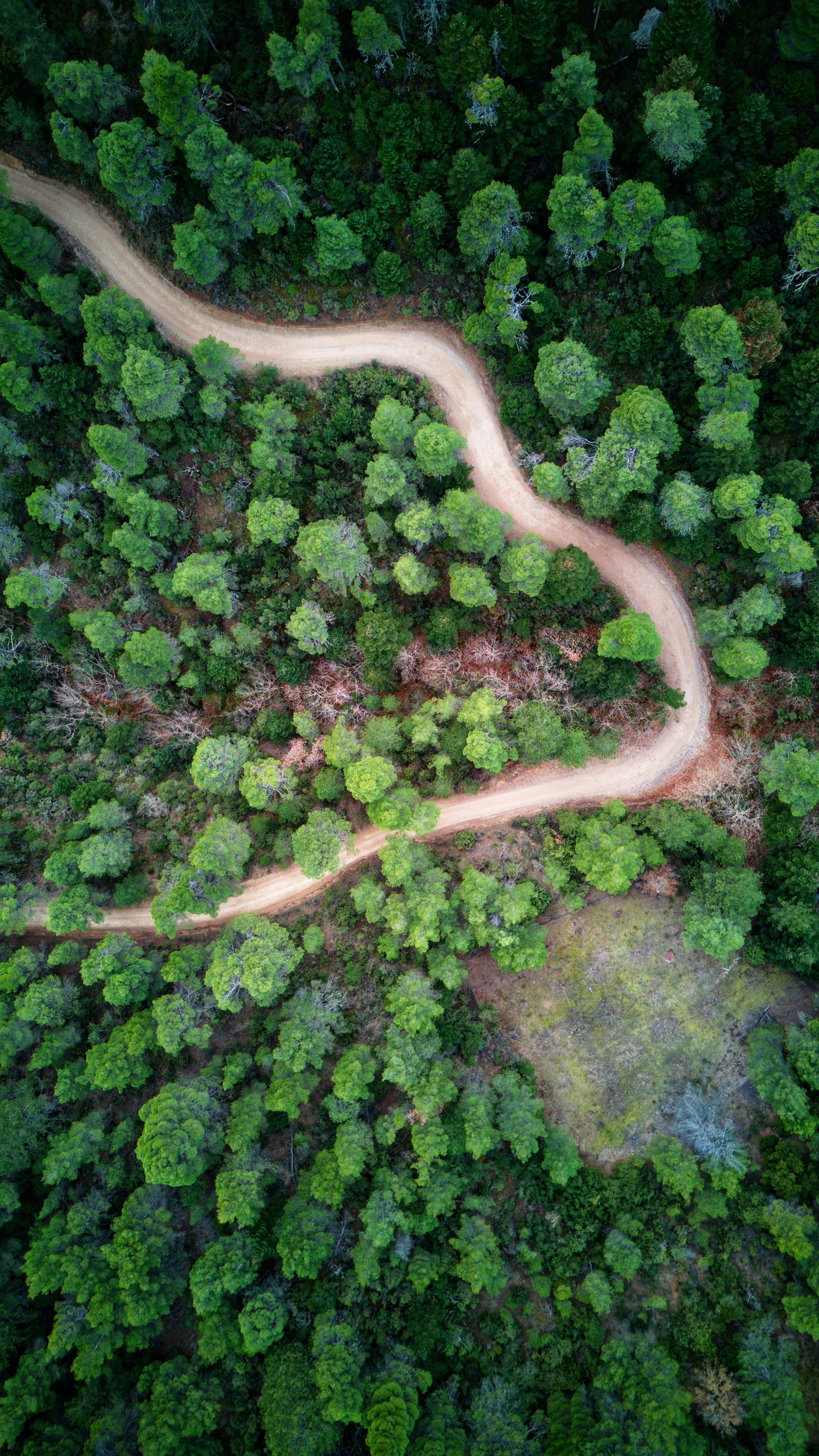 Photo by eliastsapaliaris