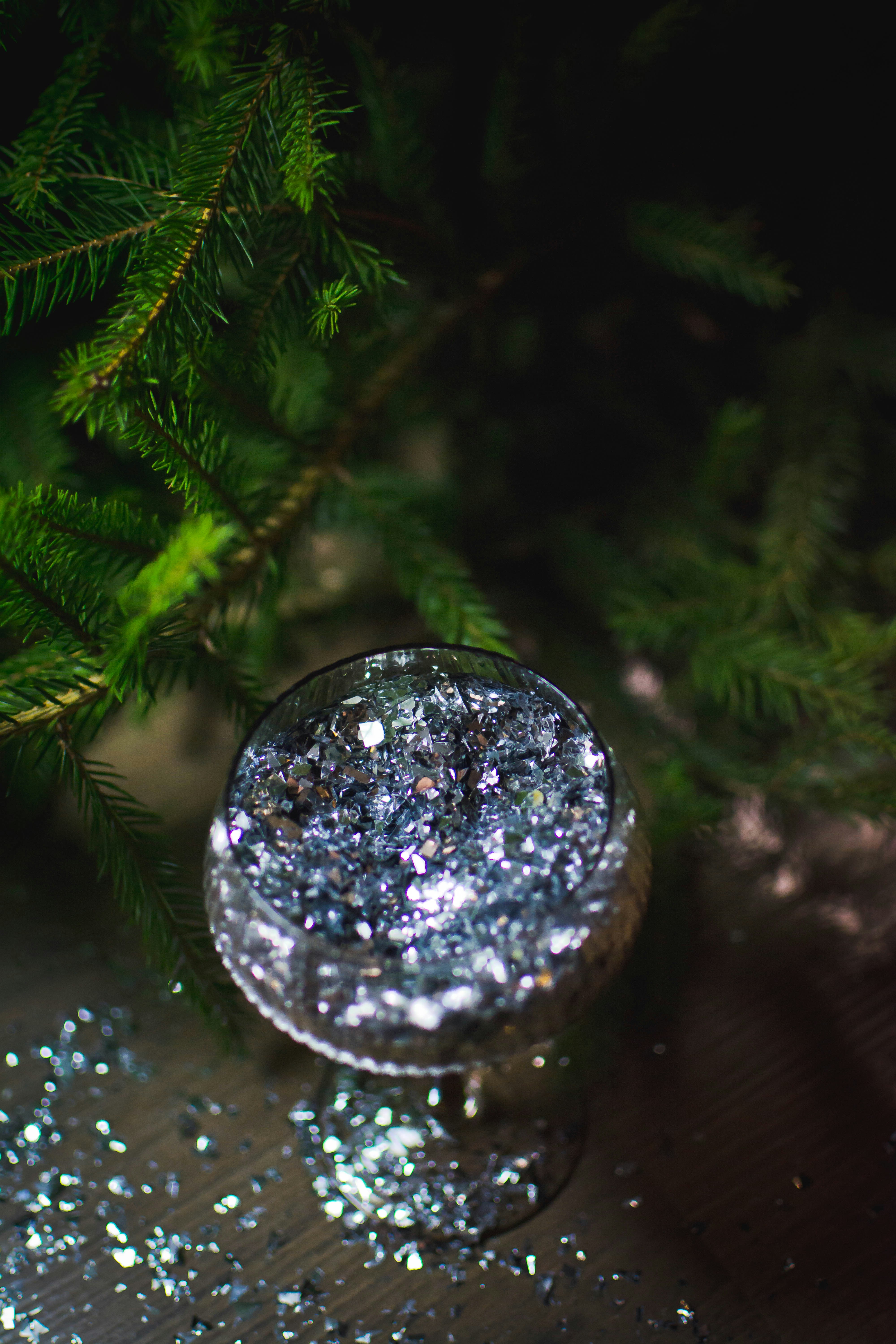 Un primer plano de un árbol con nieve