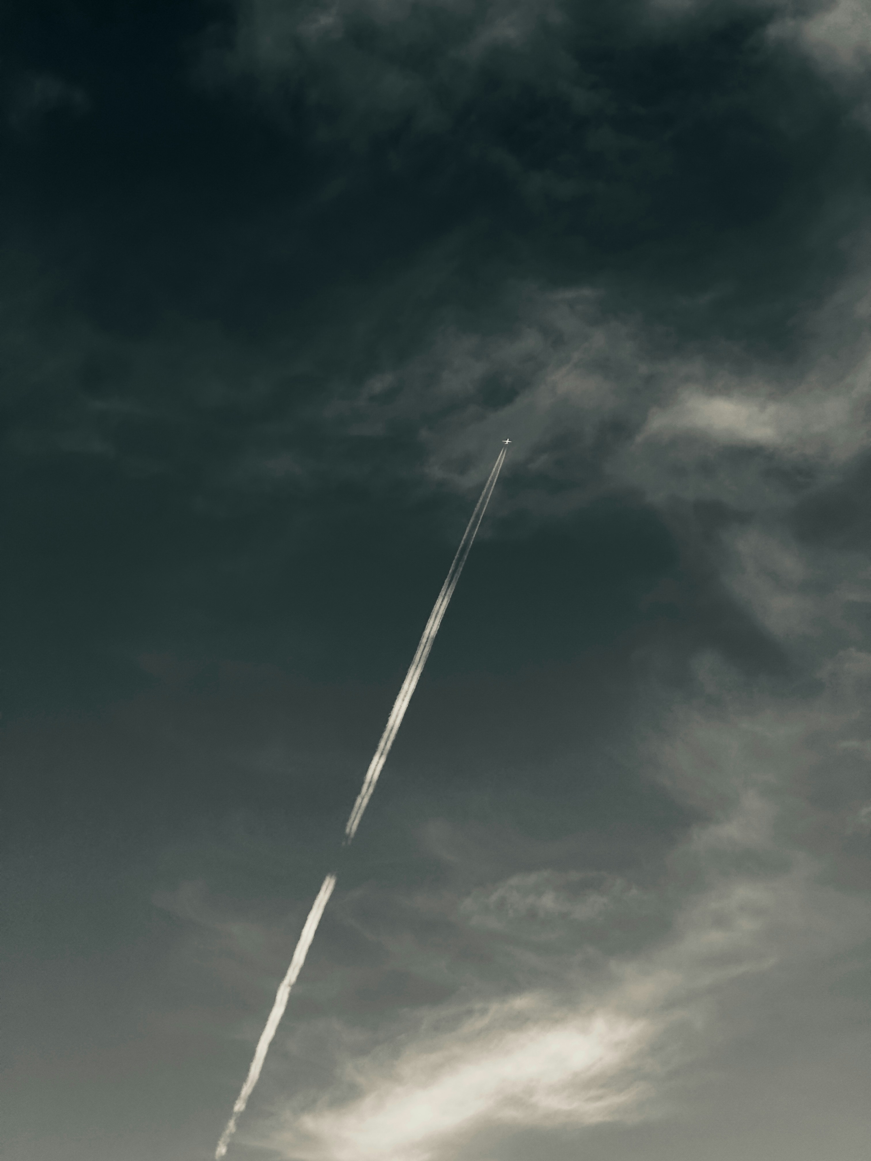 Photo by alexcrphoto