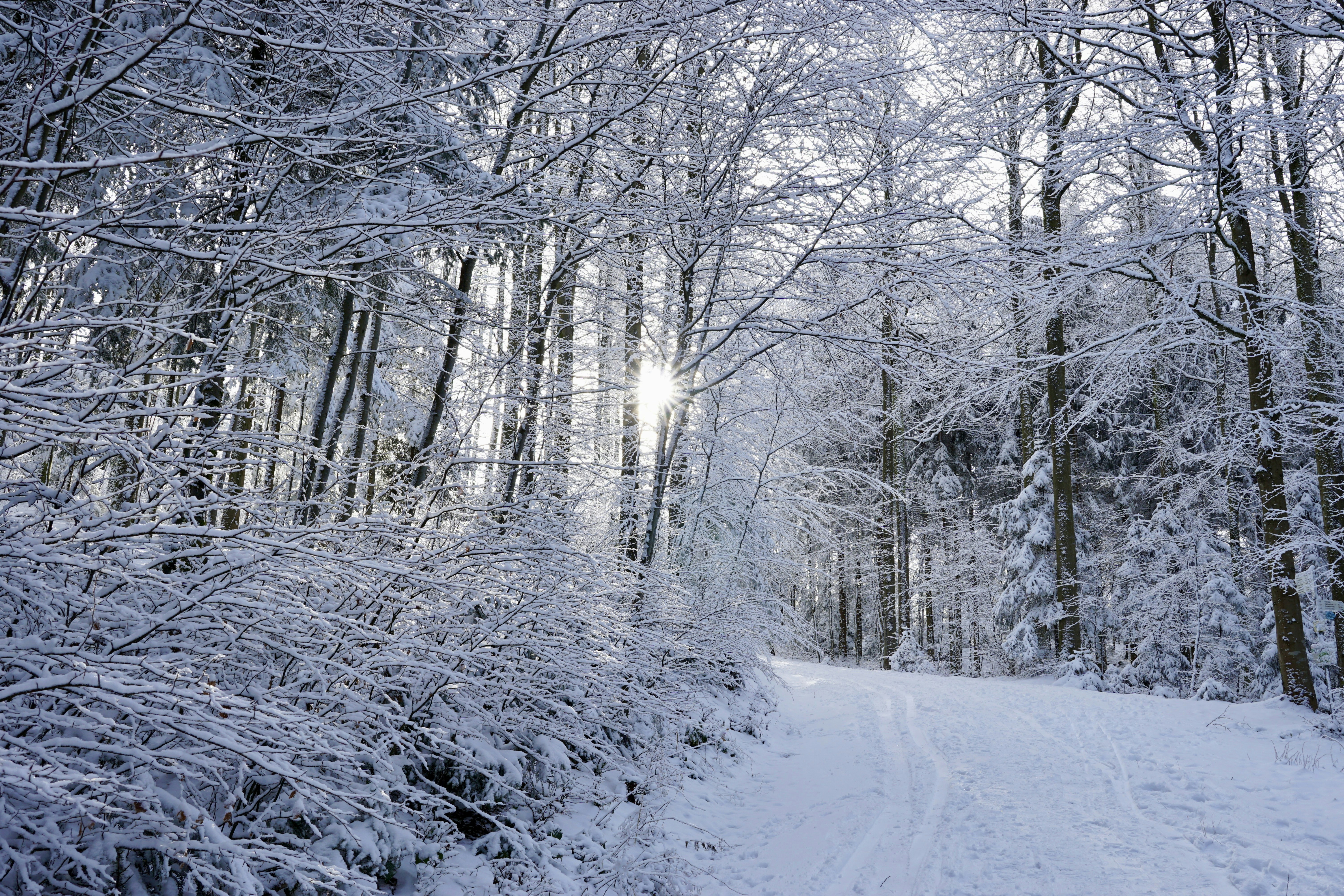 운동하는 노인 부부