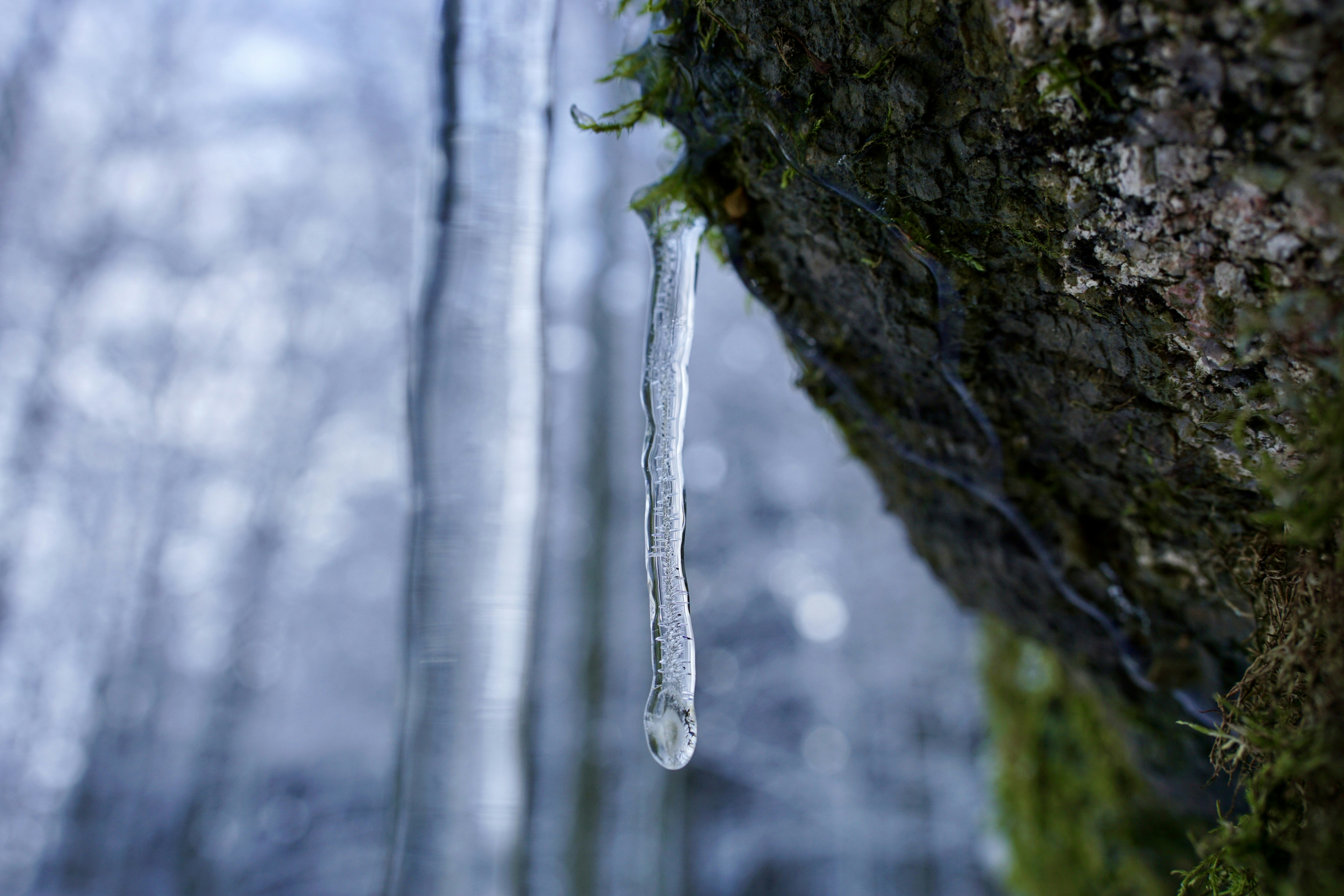 Photo by rikekoestlin